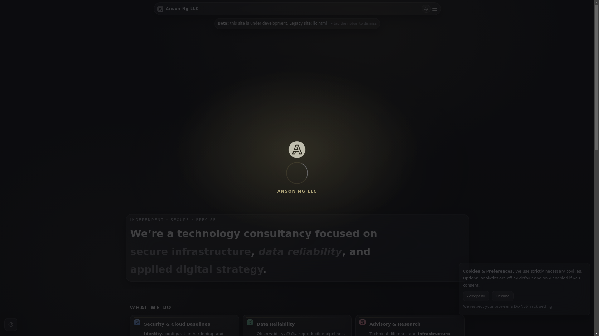 website screenshot of https://ansonngllc.pages.dev/
