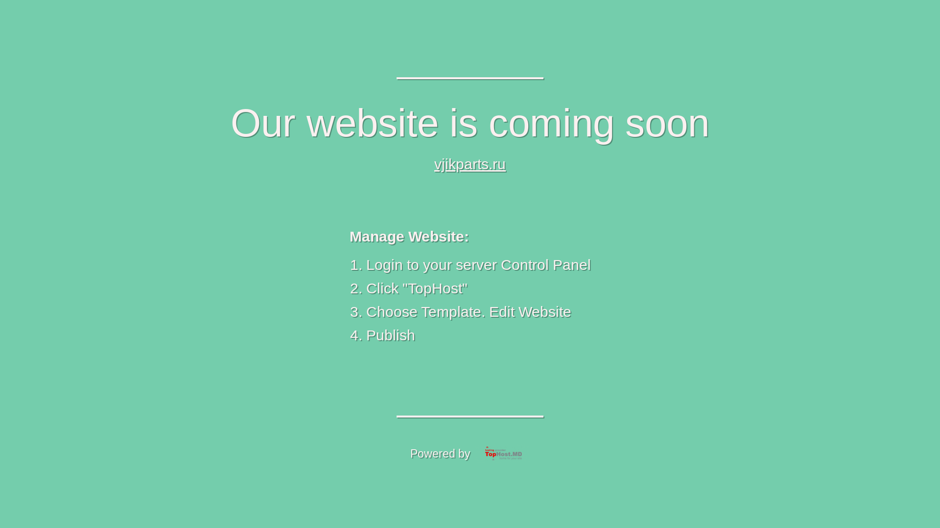 website screenshot of https://vjikparts.ru/