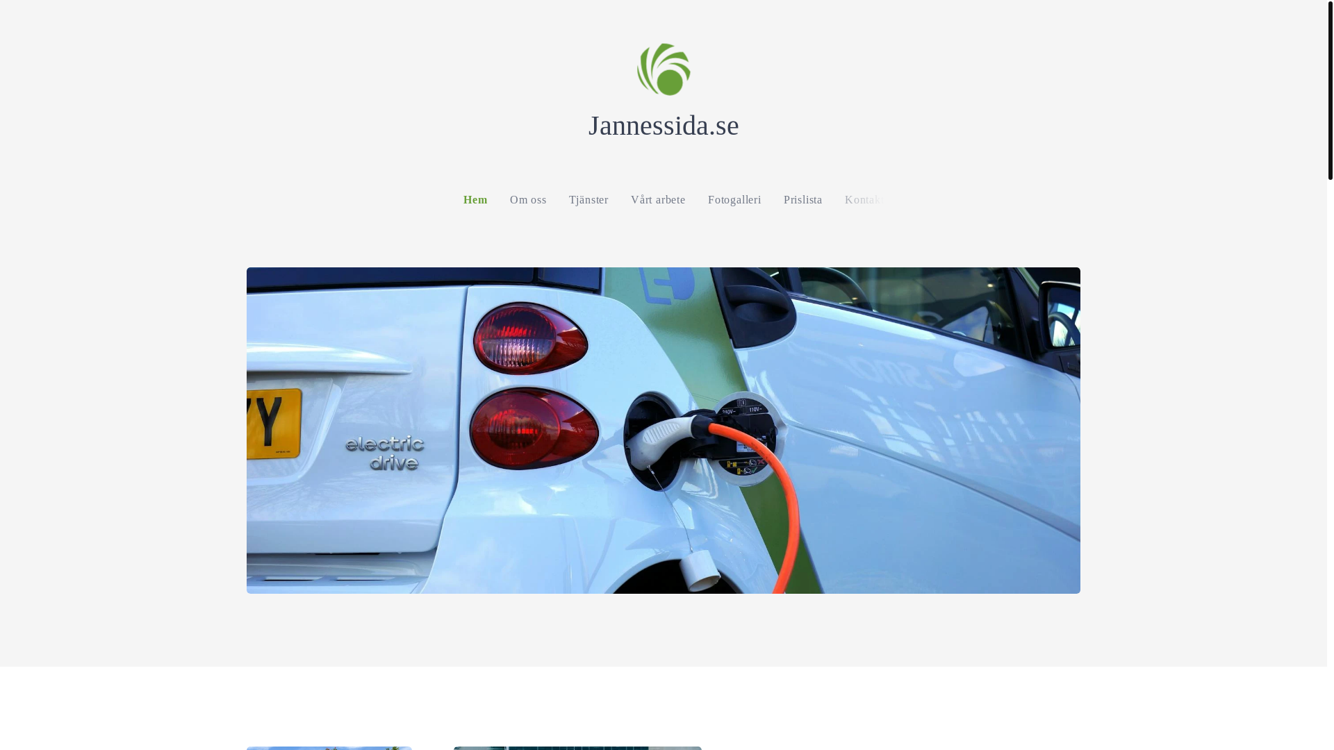 website screenshot of https://jannessida.com/
