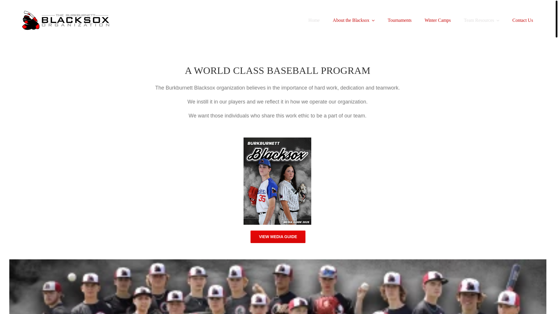website screenshot of https://burkburnettblacksox.org/