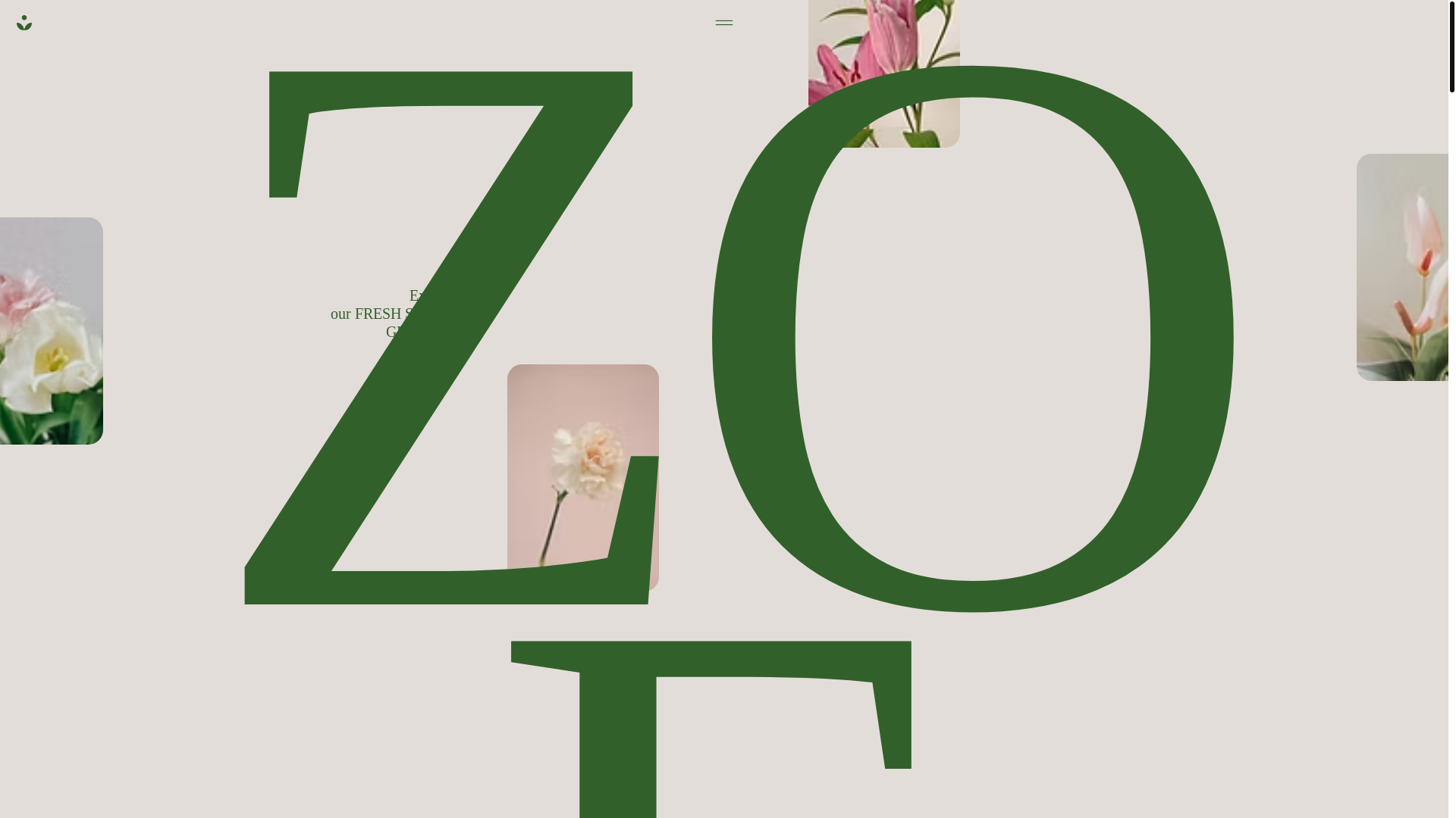 website screenshot of https://shoptheariya.com/