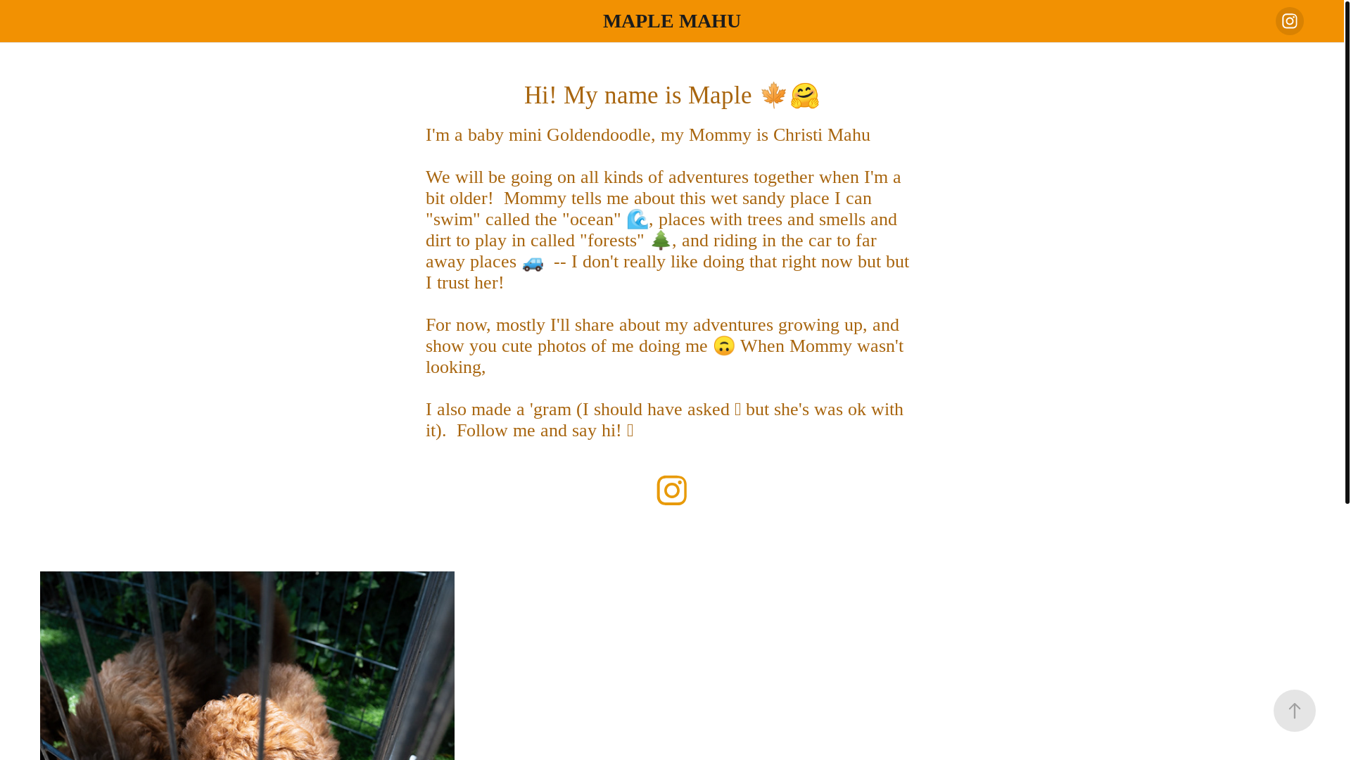 website screenshot of https://maplemahu.com/