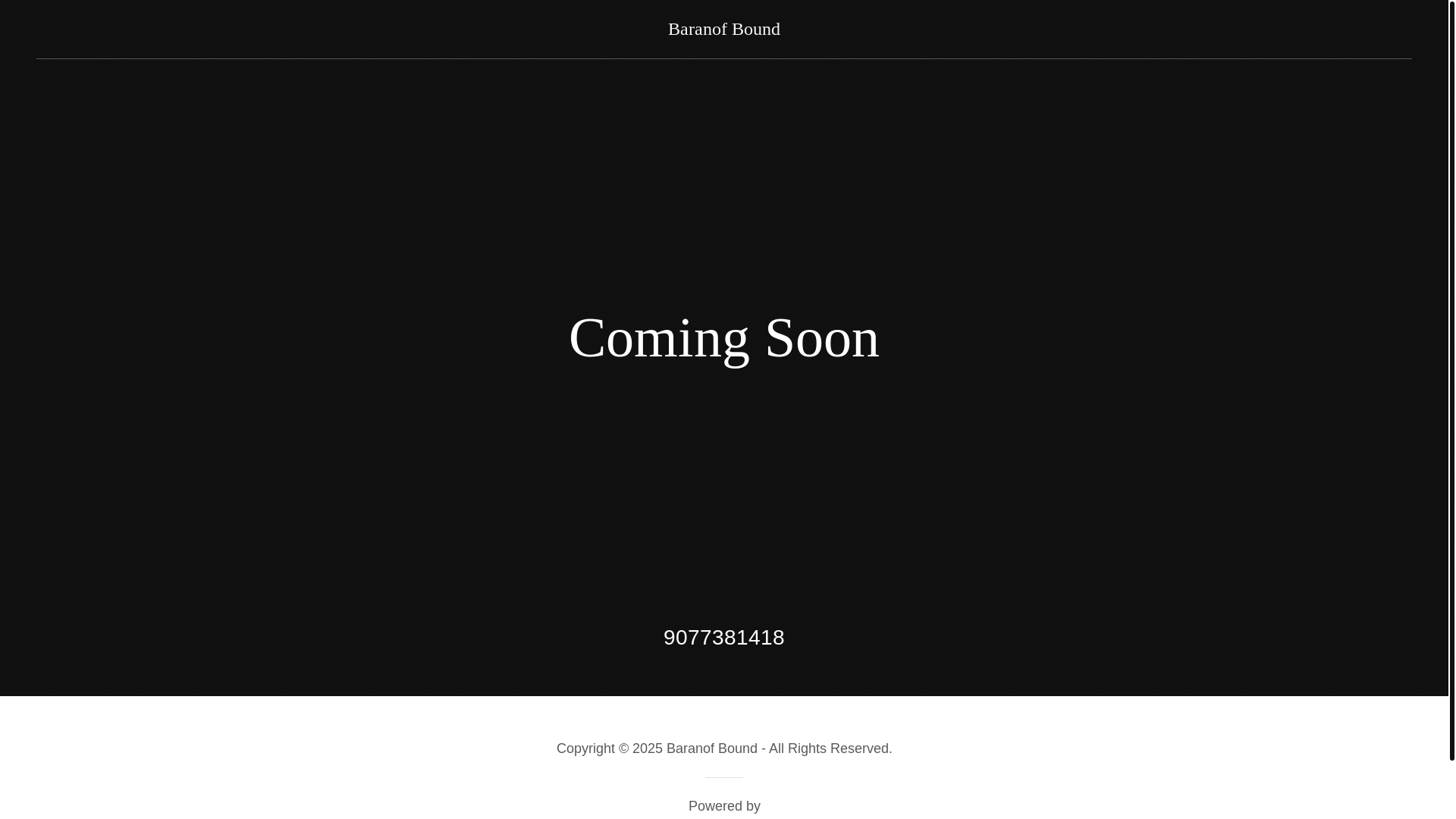 website screenshot of https://baranofbound.com/