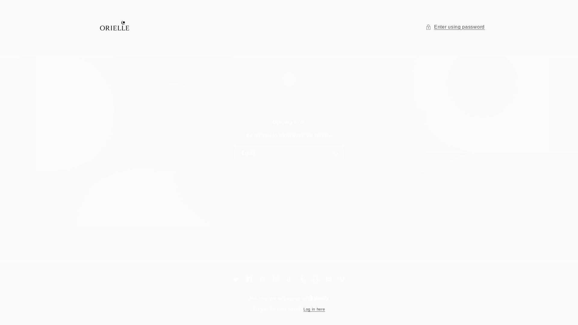 website screenshot of https://orielle.us/