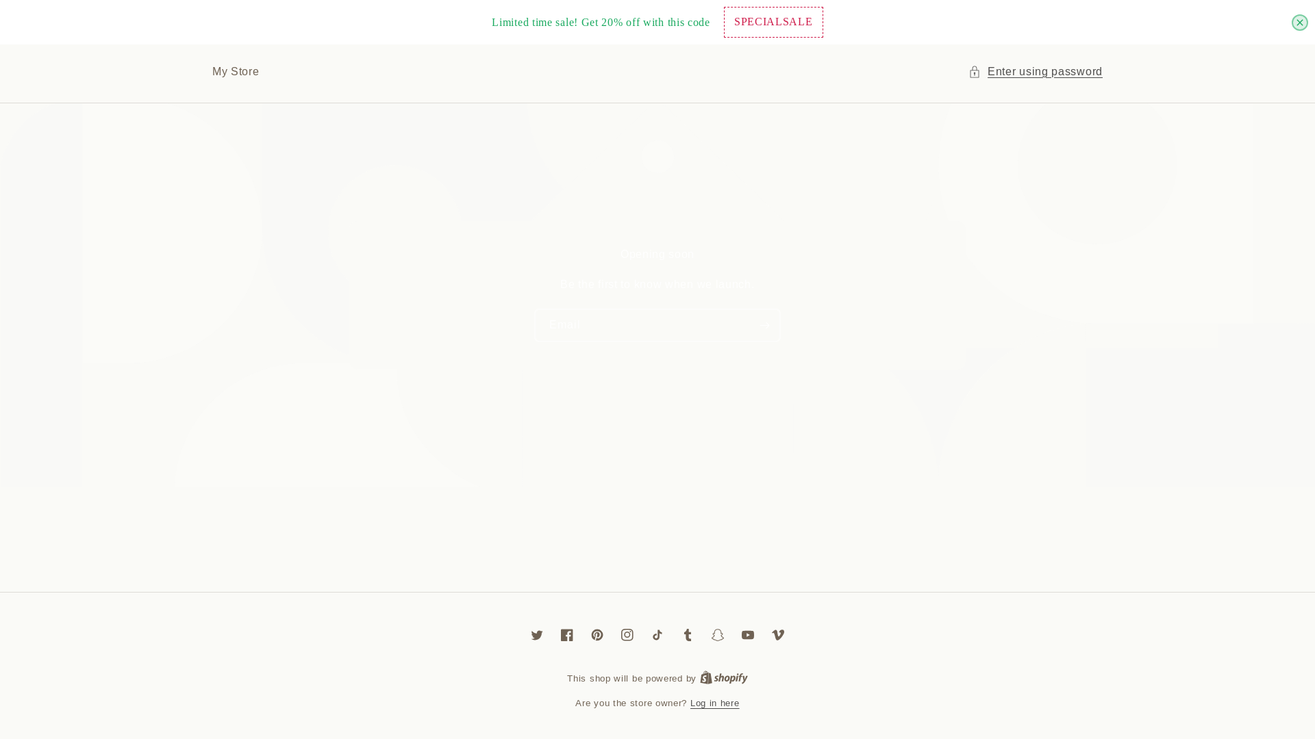website screenshot of https://vacuumate.store/