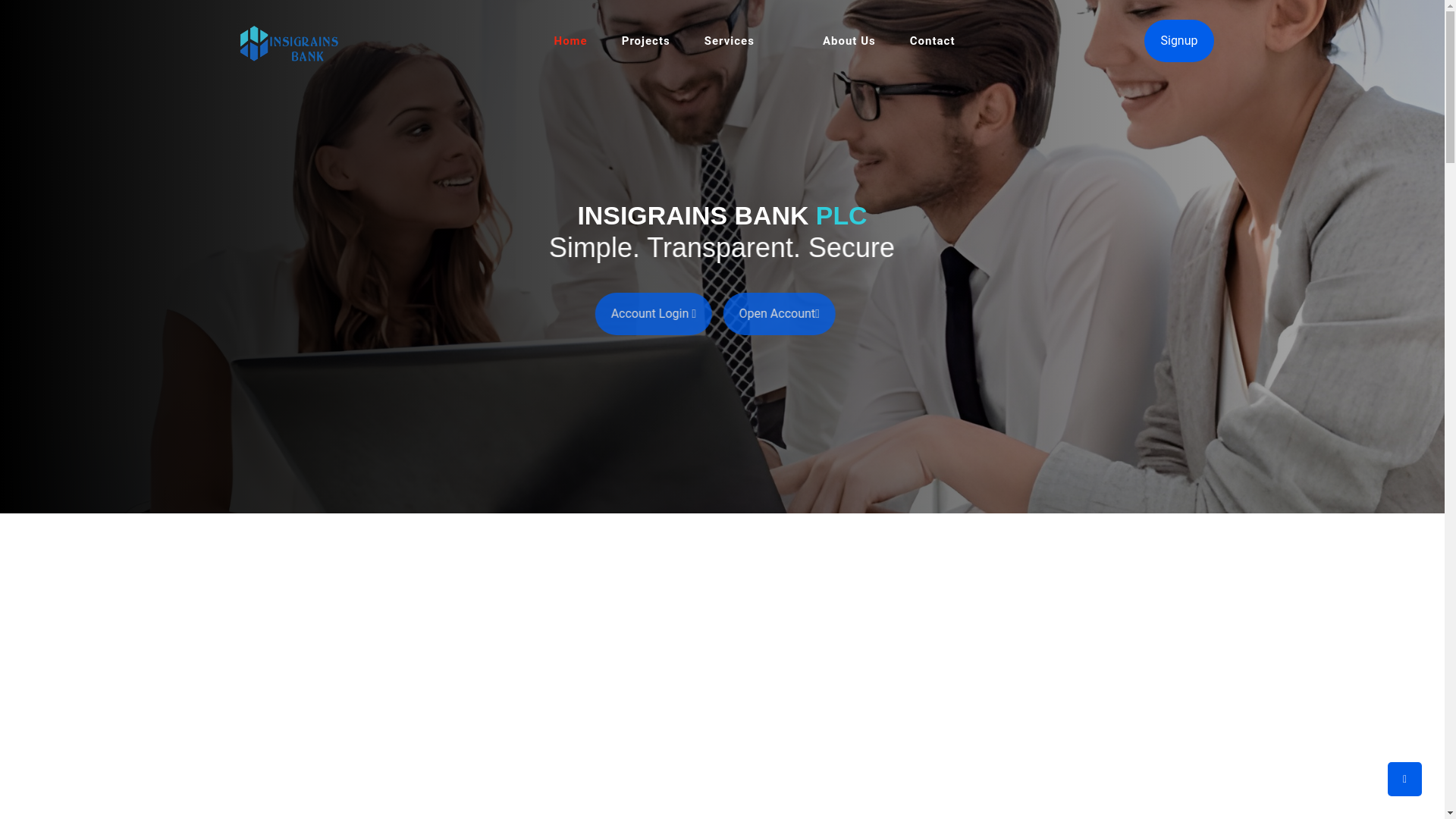 website screenshot of https://insigrains.com/