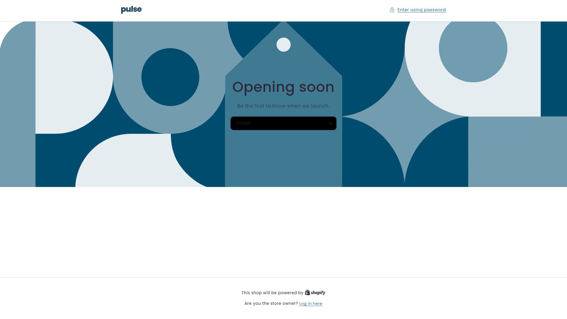 website screenshot of https://pulselabshq.com/