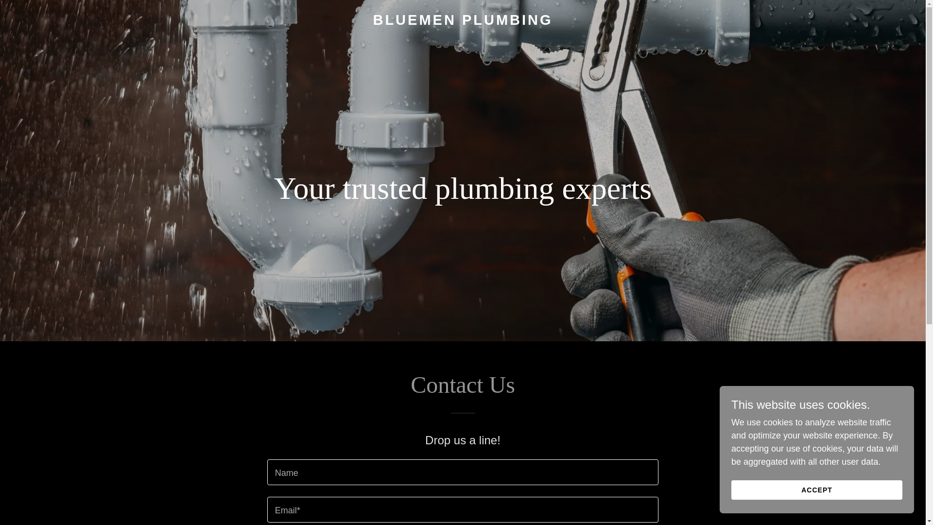 website screenshot of https://bluemenplumbing.com/