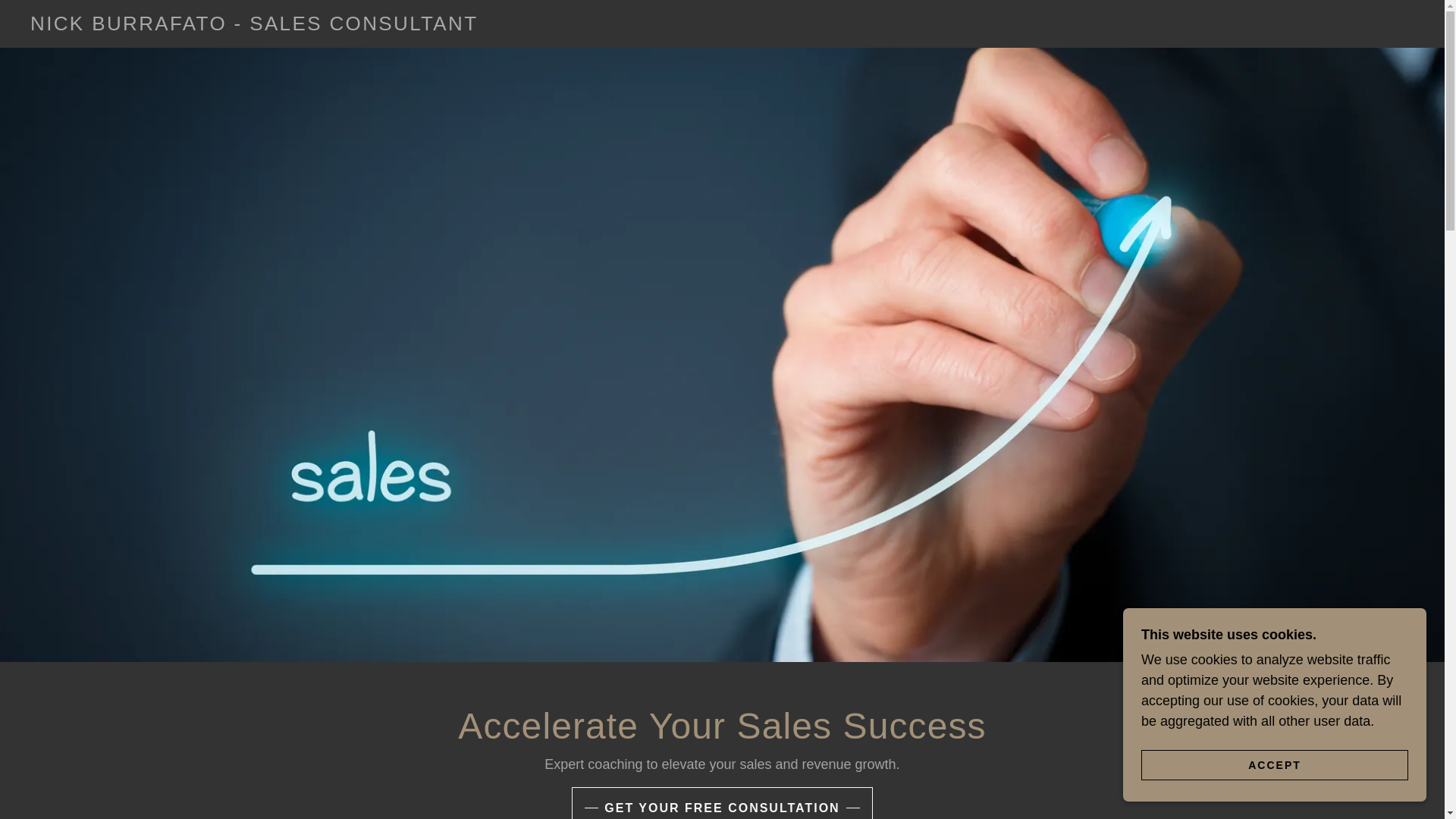 website screenshot of https://salescoachnick.com/