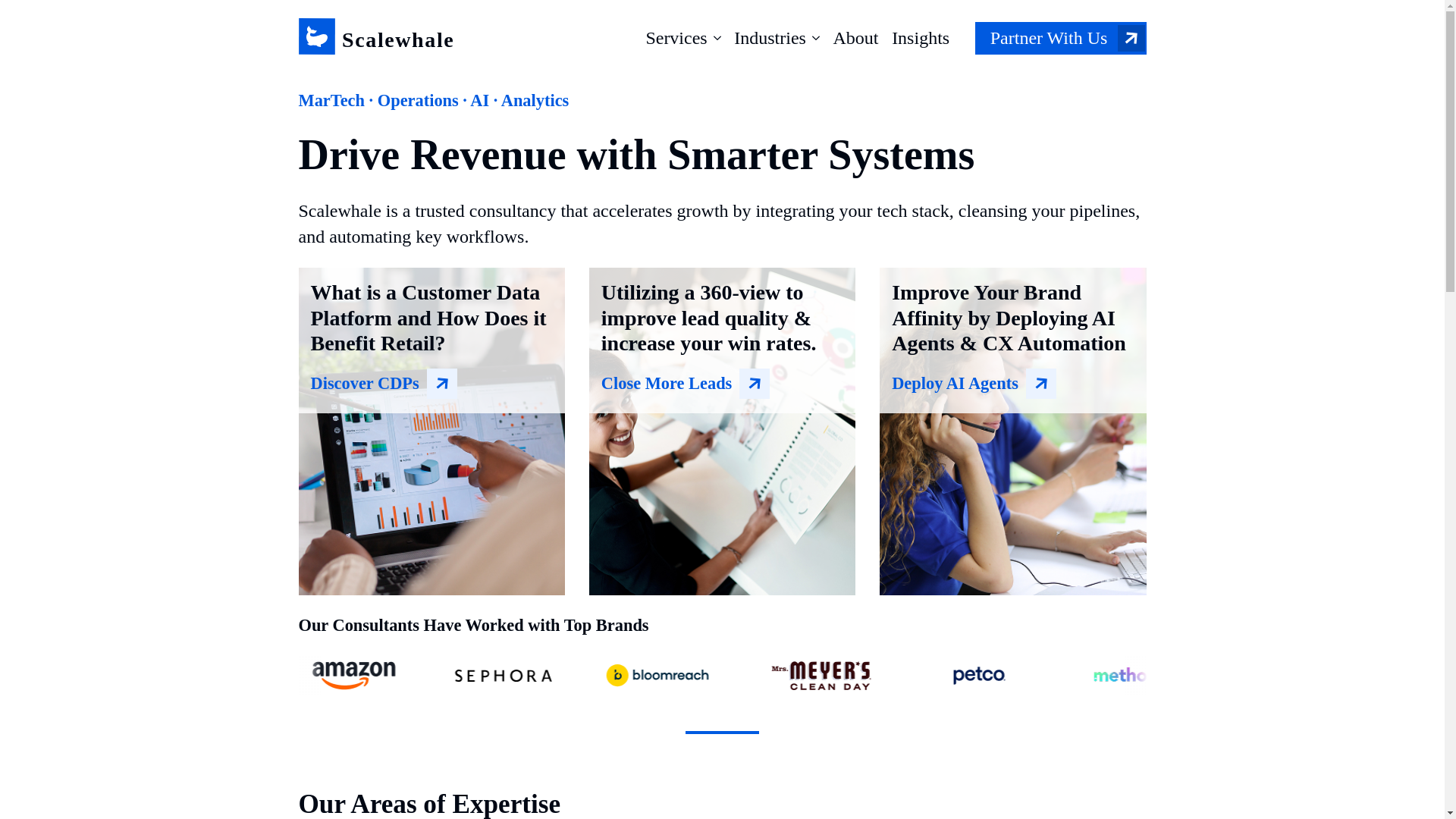 website screenshot of https://scalewhale-main.pages.dev/