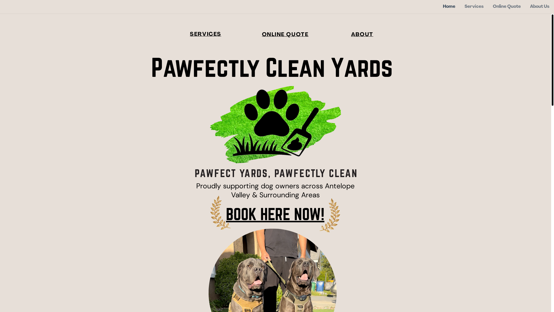 website screenshot of https://pawfectlycleanyards.com/