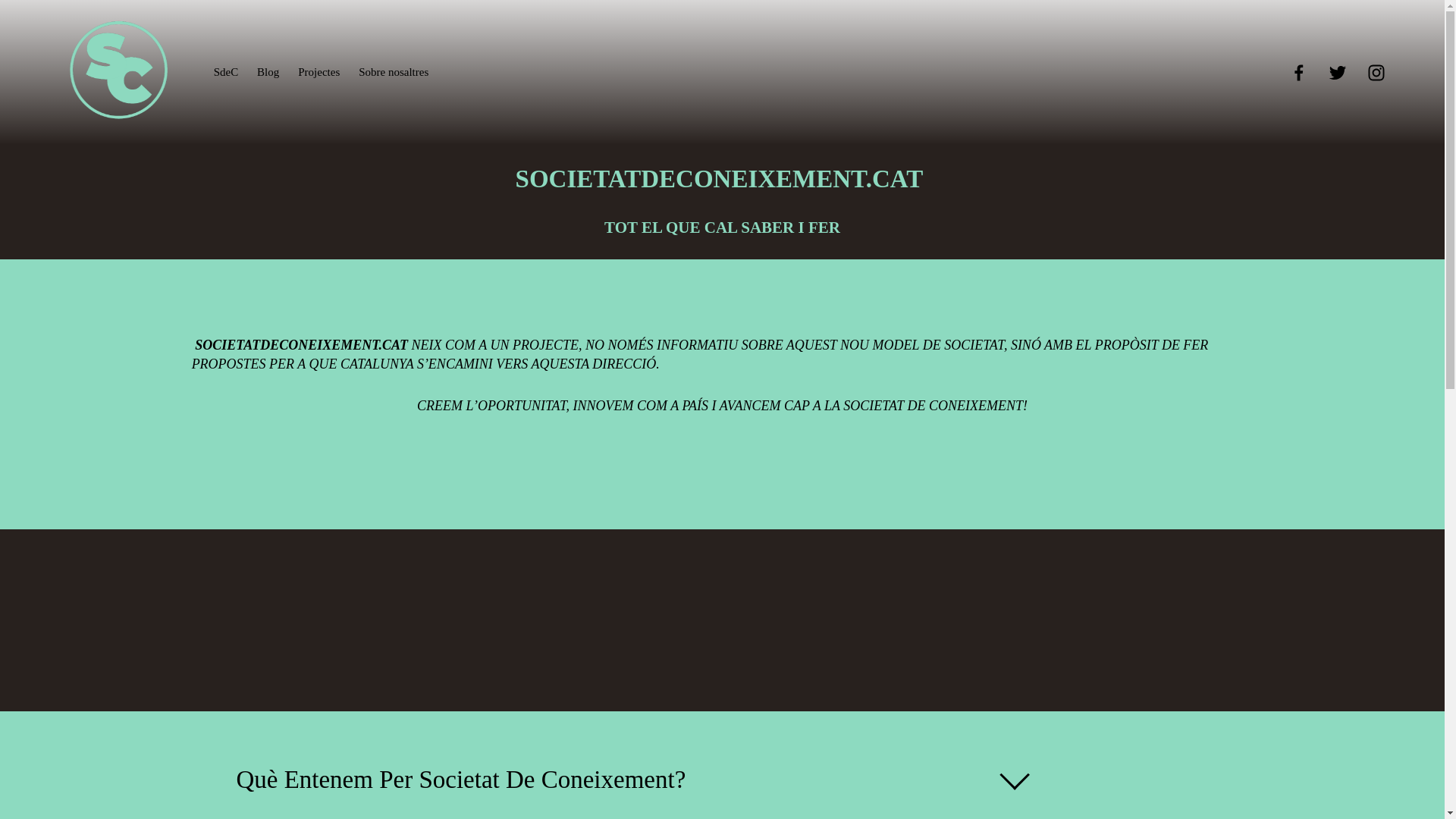 website screenshot of https://sociedaddeconocimiento.net/