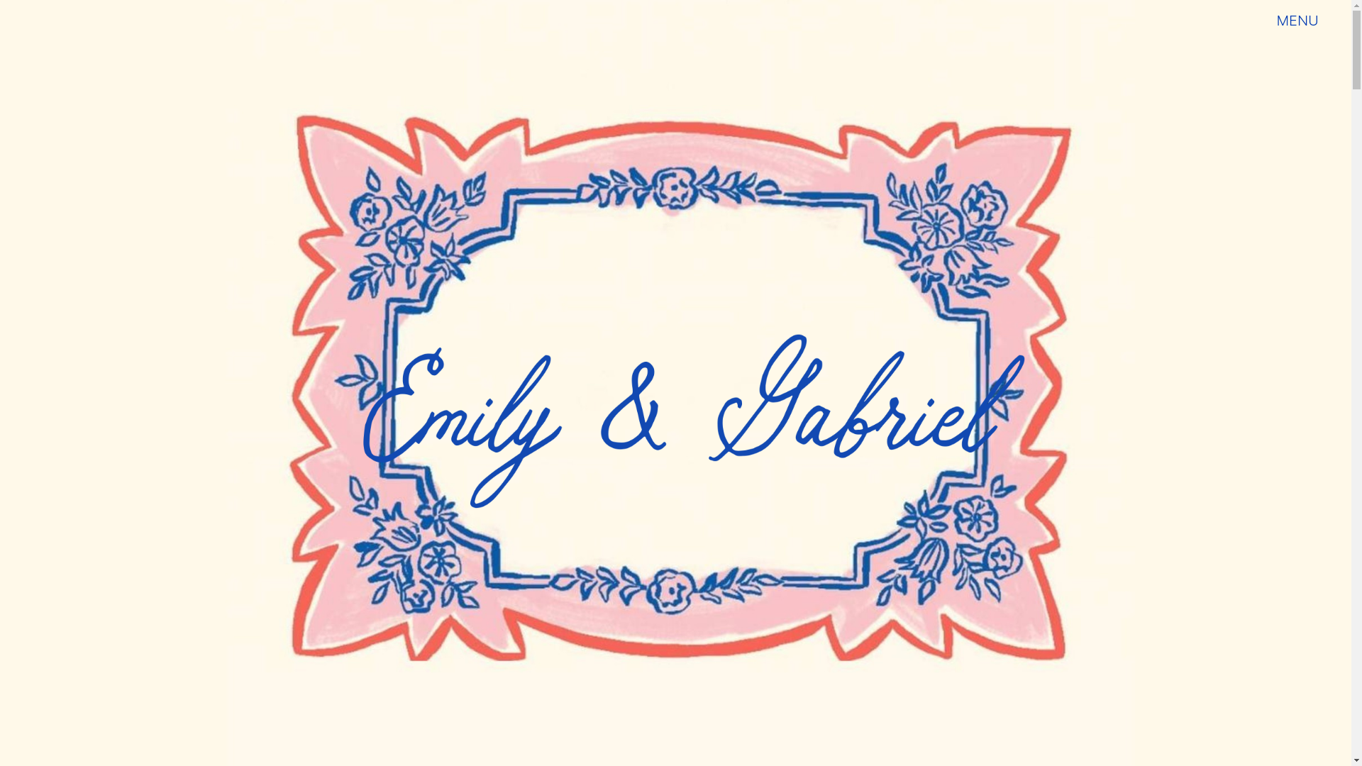 website screenshot of https://apartywithbothofourfamilies.com/