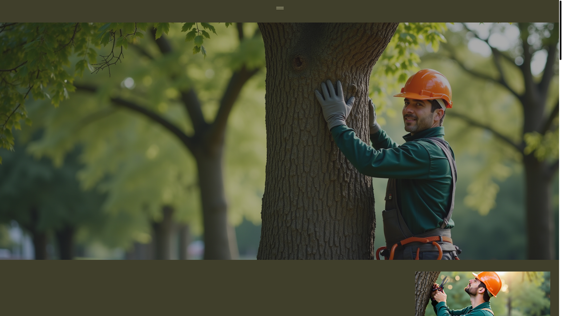 website screenshot of https://mdctreeservice.com/