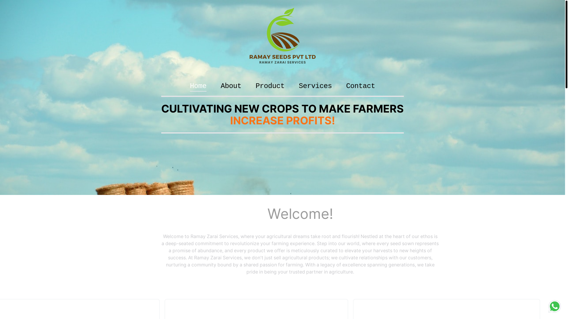 website screenshot of https://ramayseeds-zaraiservices.com/