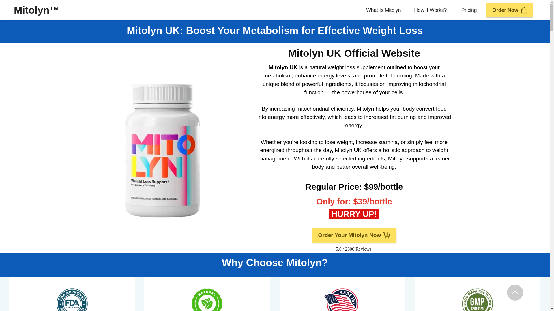 website screenshot of https://mitolyn.uk/