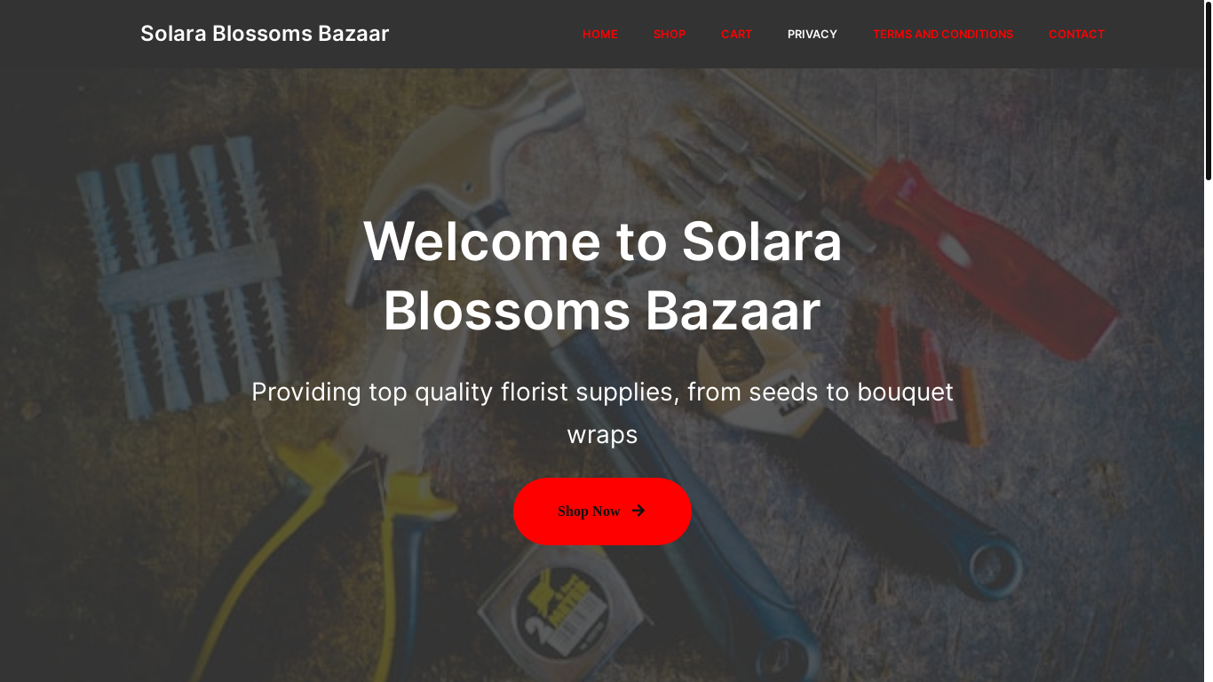 website screenshot of https://midconnectv242-162.pages.dev/