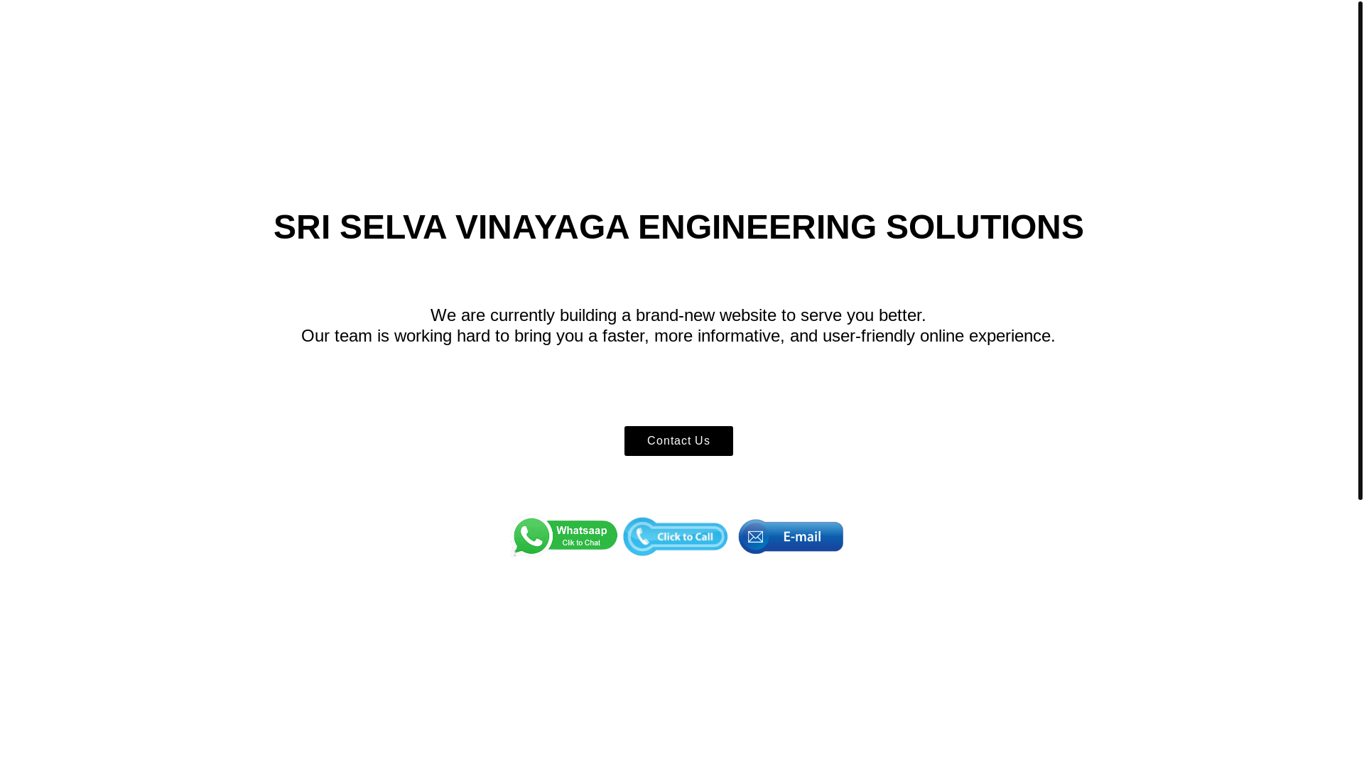 website screenshot of https://ssves.in/