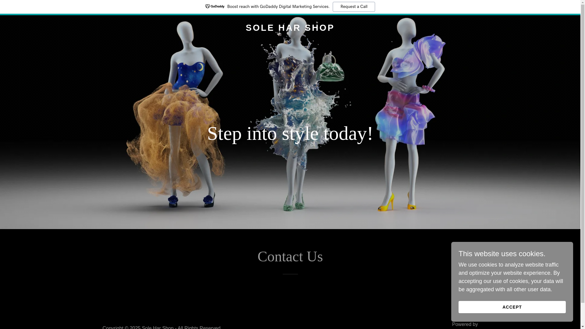 website screenshot of https://soleharshop.digital/