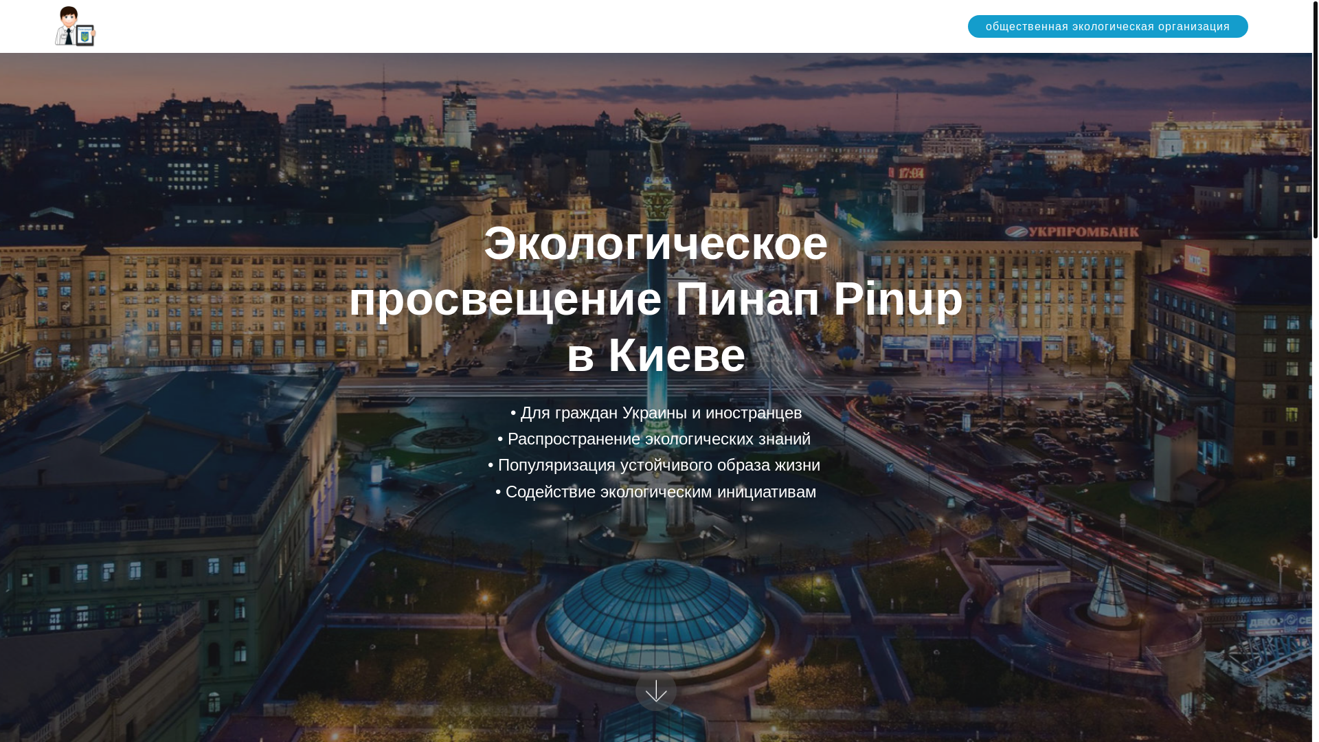 website screenshot of https://pinmountainconserve.online/