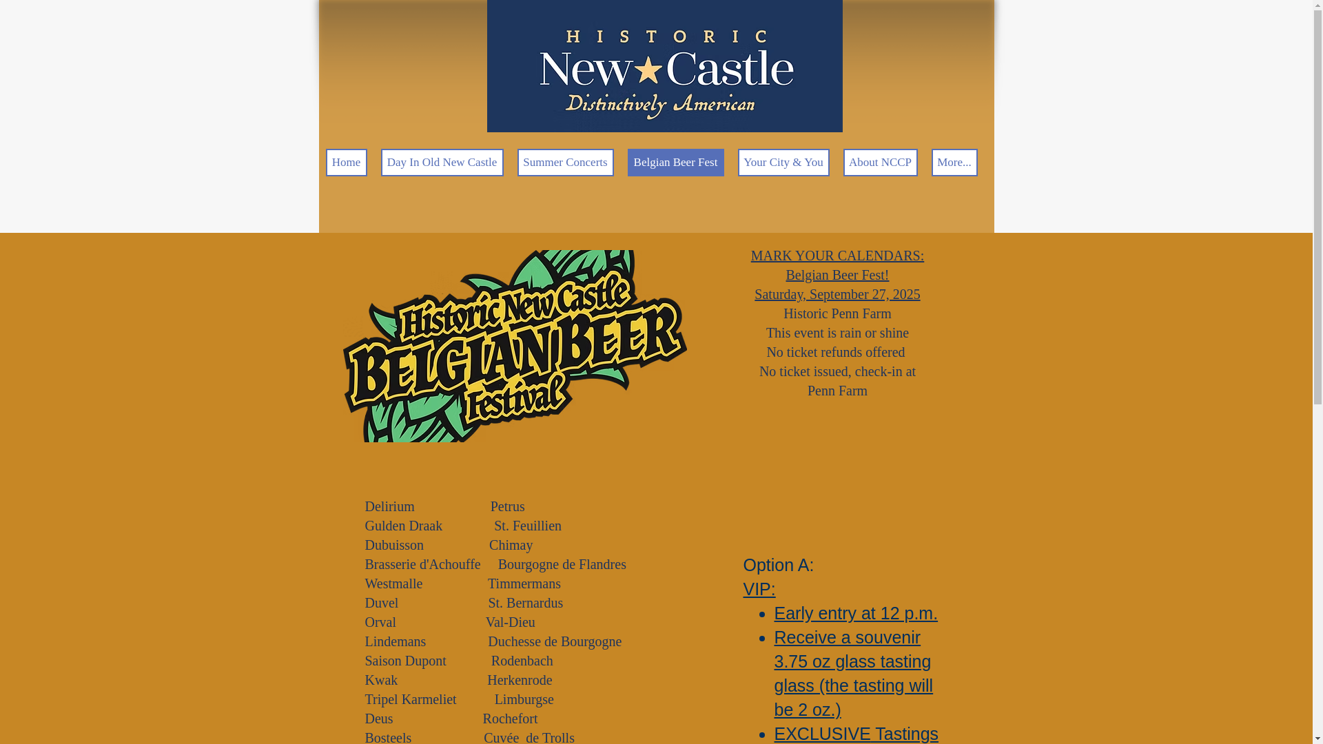 website screenshot of https://adayinoldnewcastle.org/
