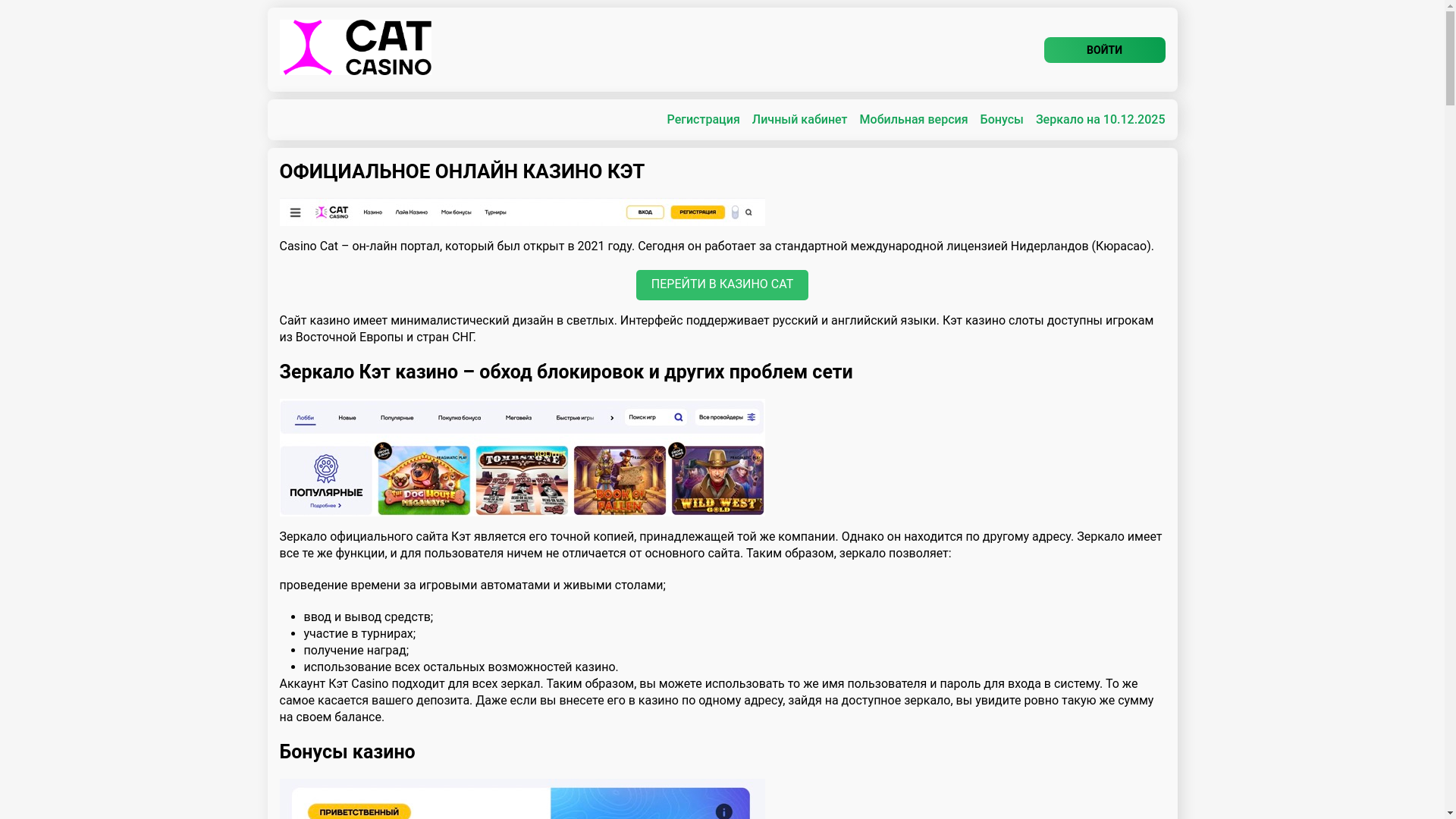 website screenshot of https://catcasino-lnc.top/