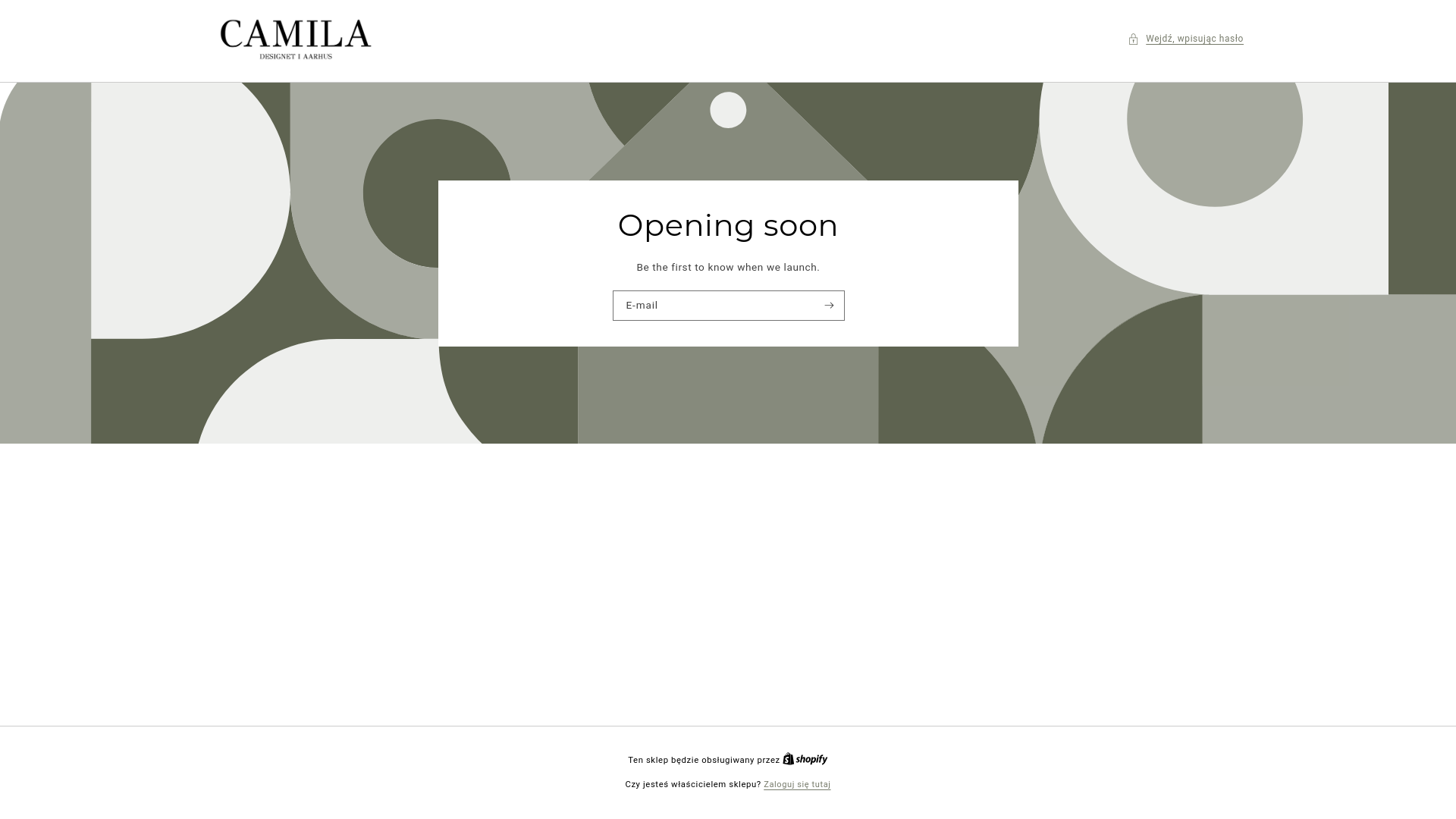 website screenshot of https://camila-krakau.com/