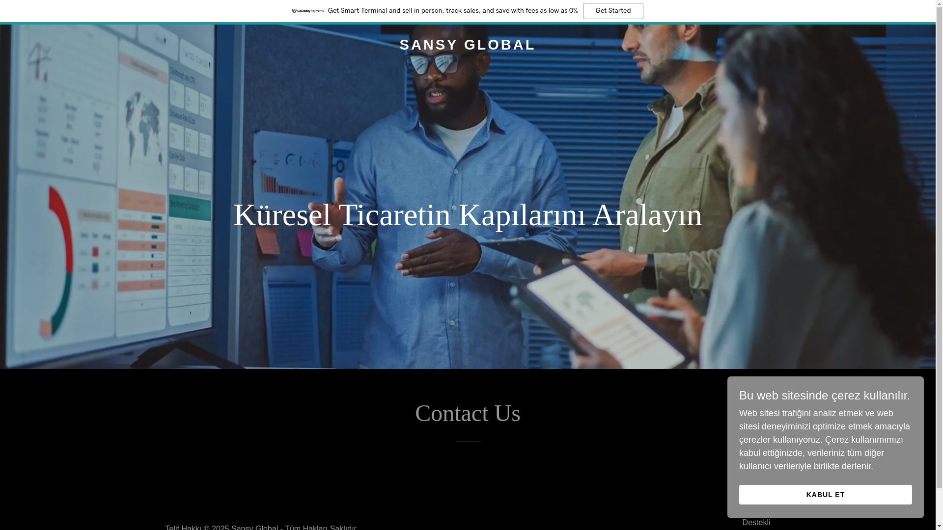 website screenshot of https://sansyglobal.com/