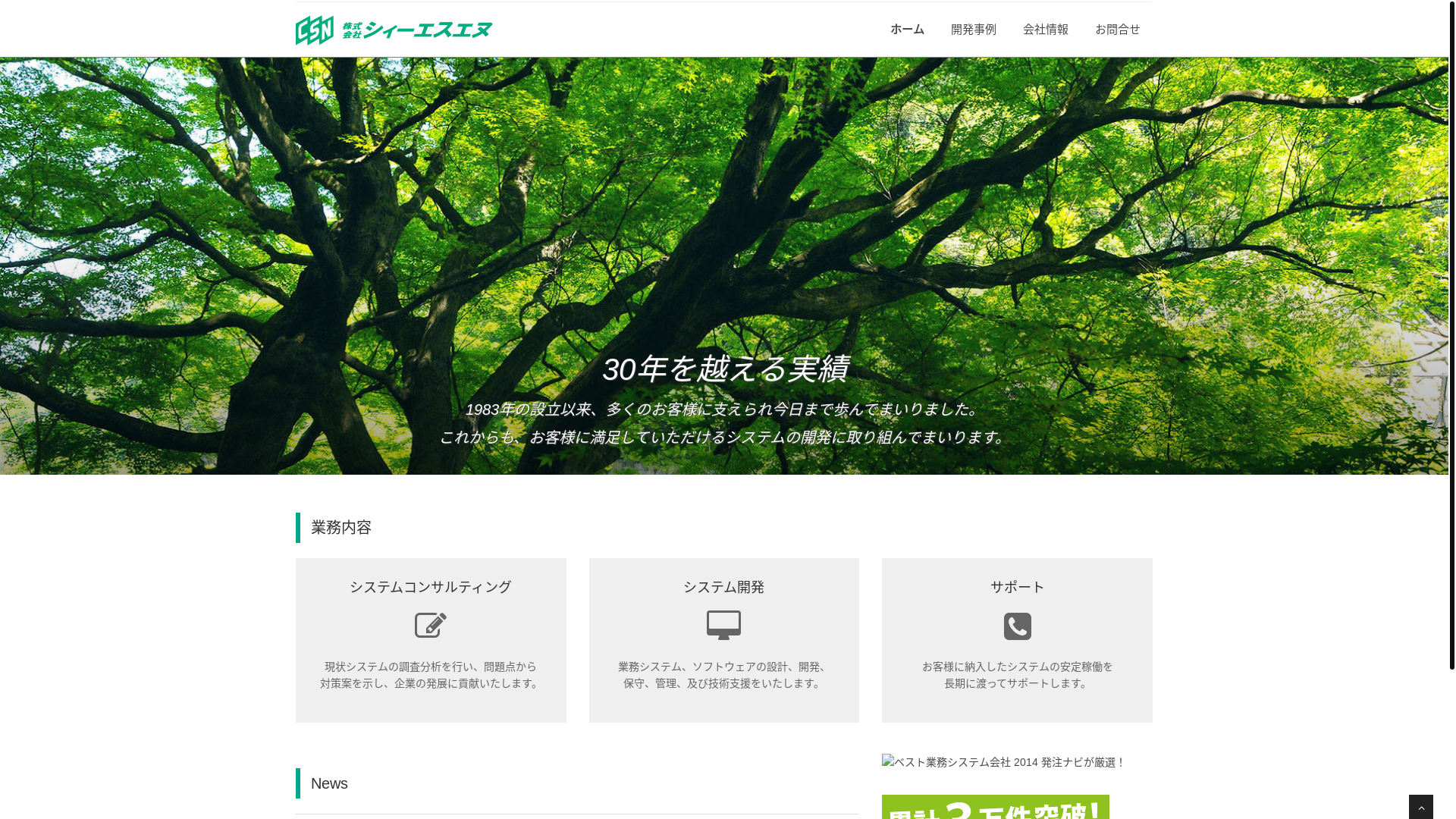 website screenshot of https://csn-japan.com/