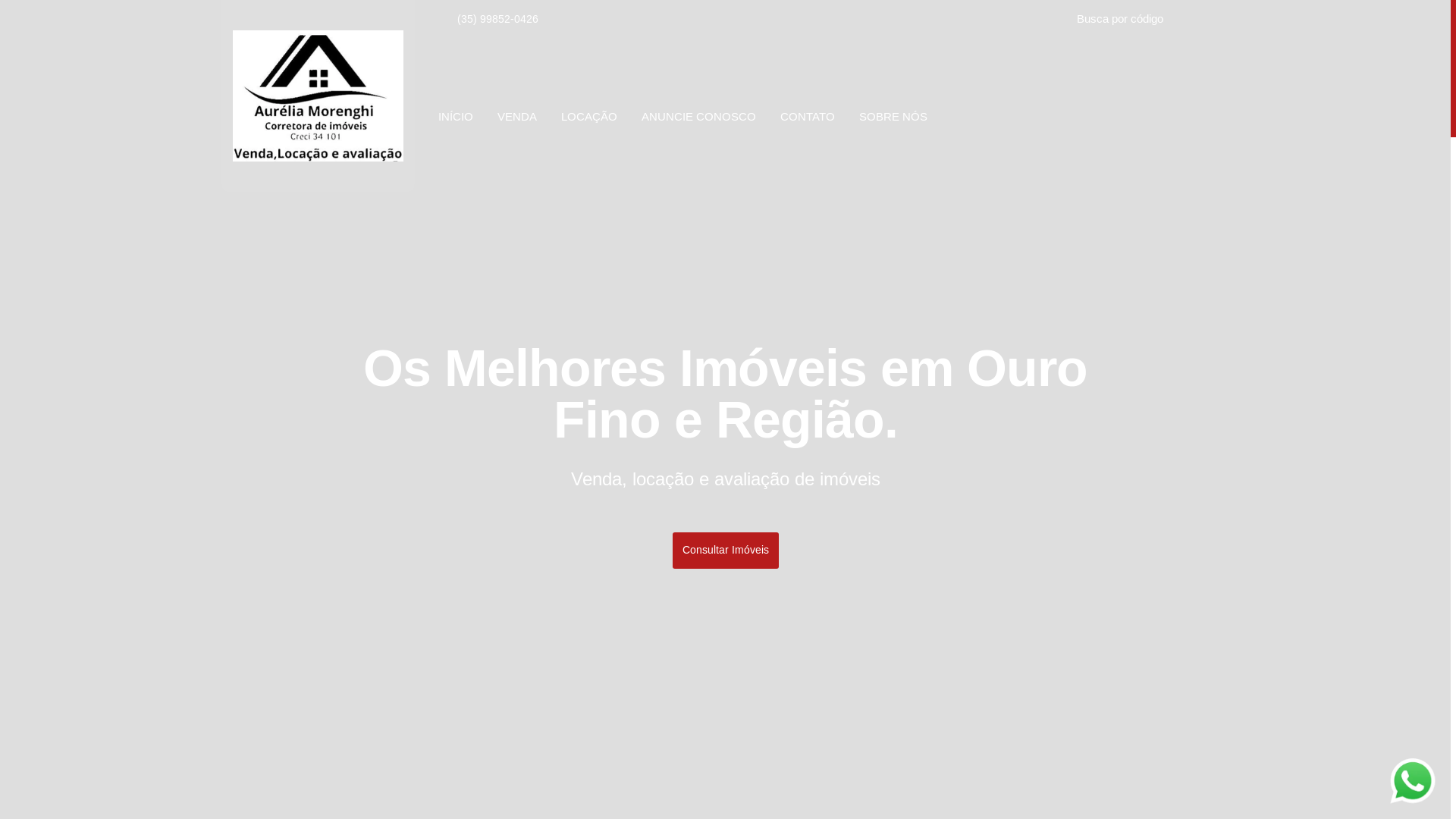 website screenshot of https://aureliamorenghi.com.br/