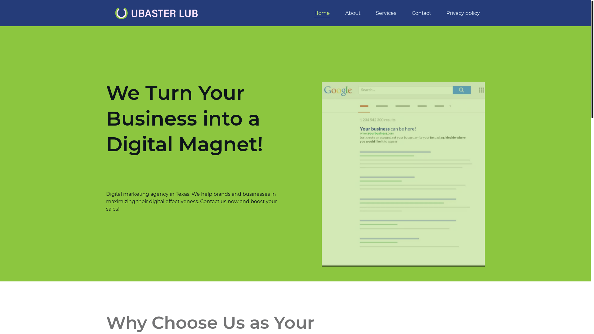 website screenshot of https://ubasterlub.site/