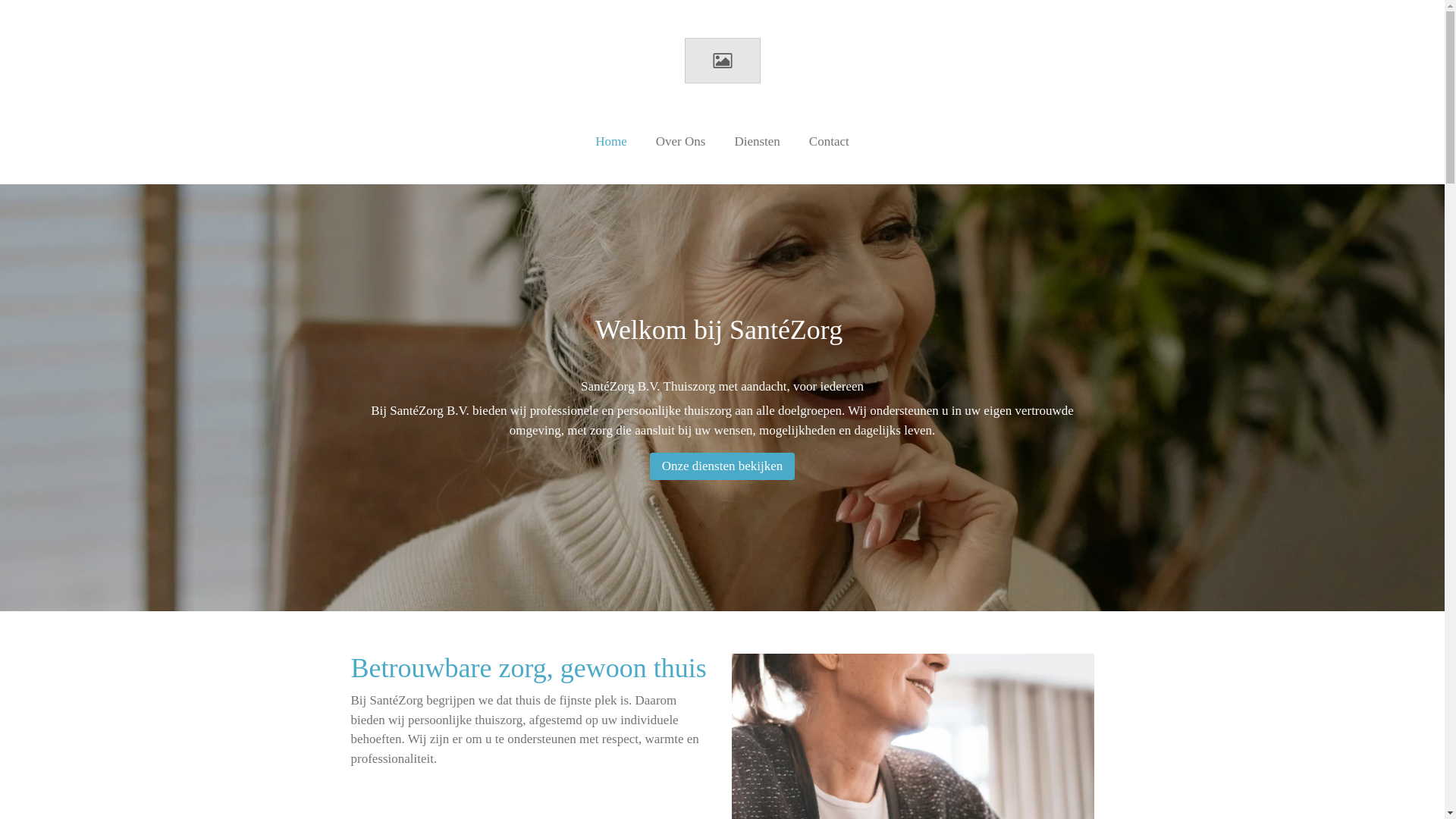 website screenshot of https://santezorgbv.nl/