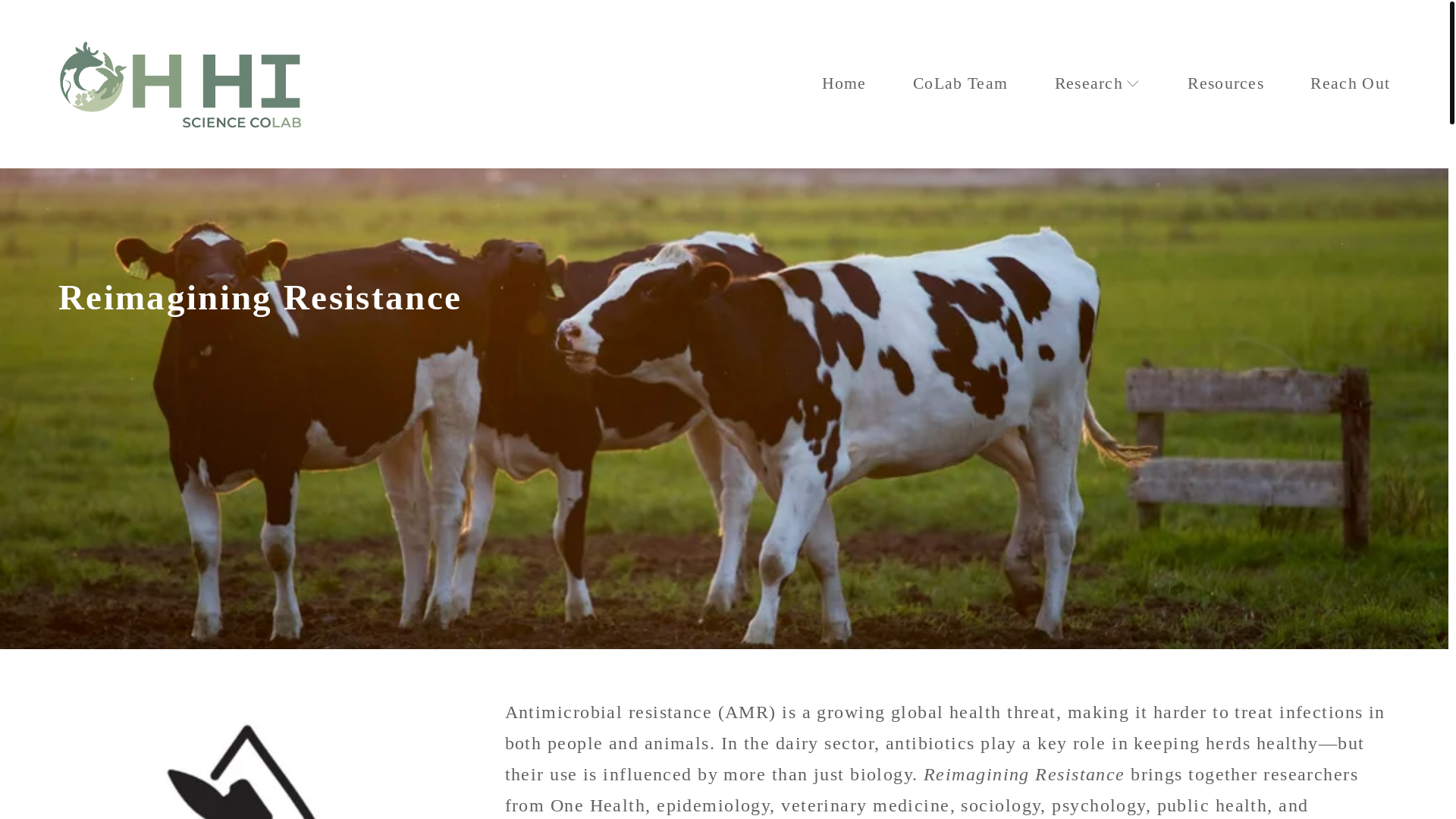 website screenshot of https://reimaginingamr.ca/