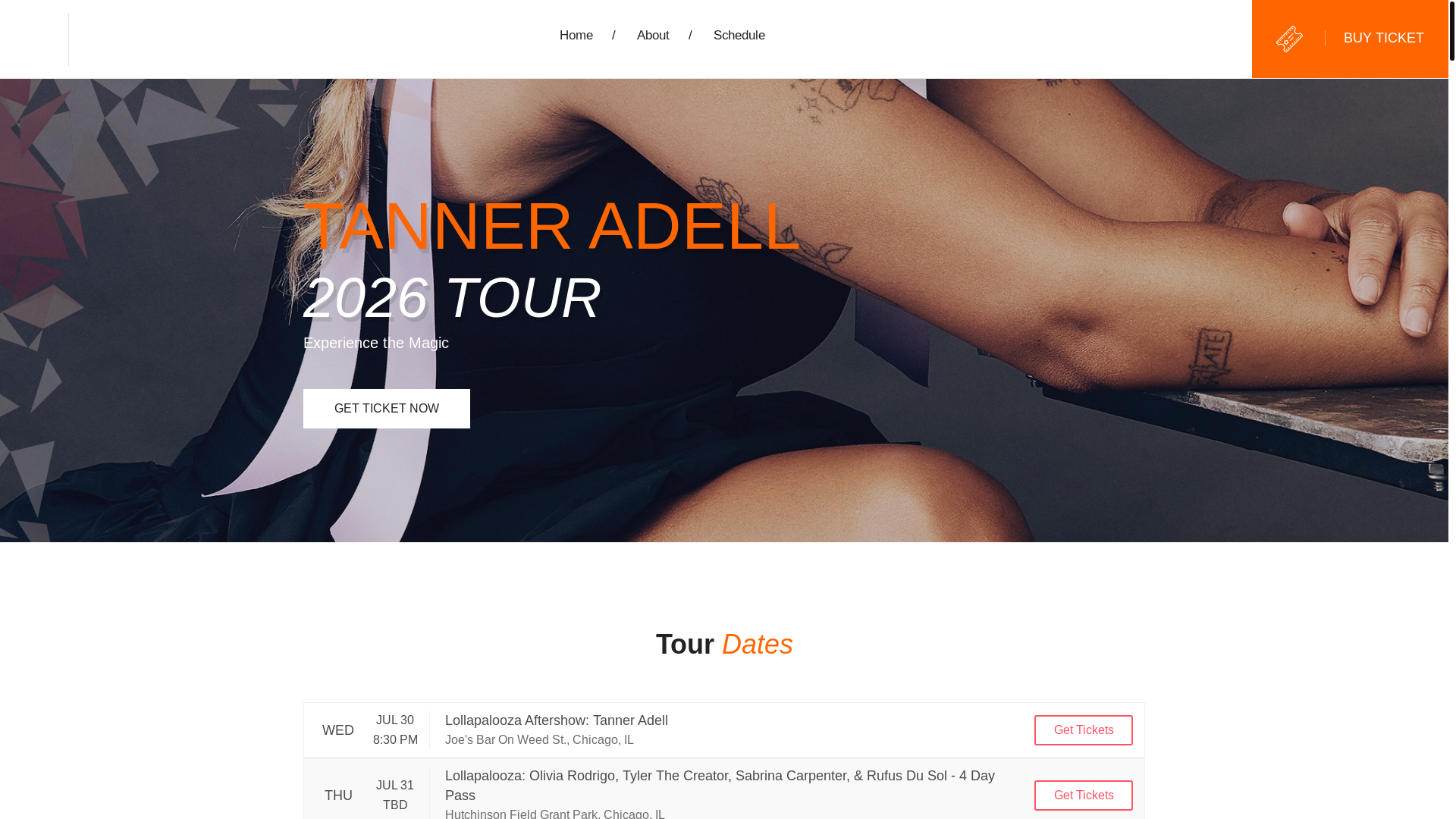 website screenshot of https://tanneradelltour.us/