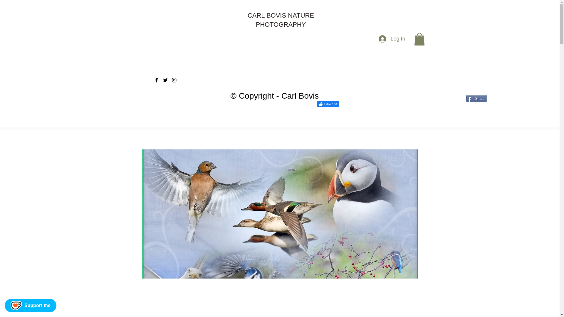 website screenshot of https://www.carlbovis.com/