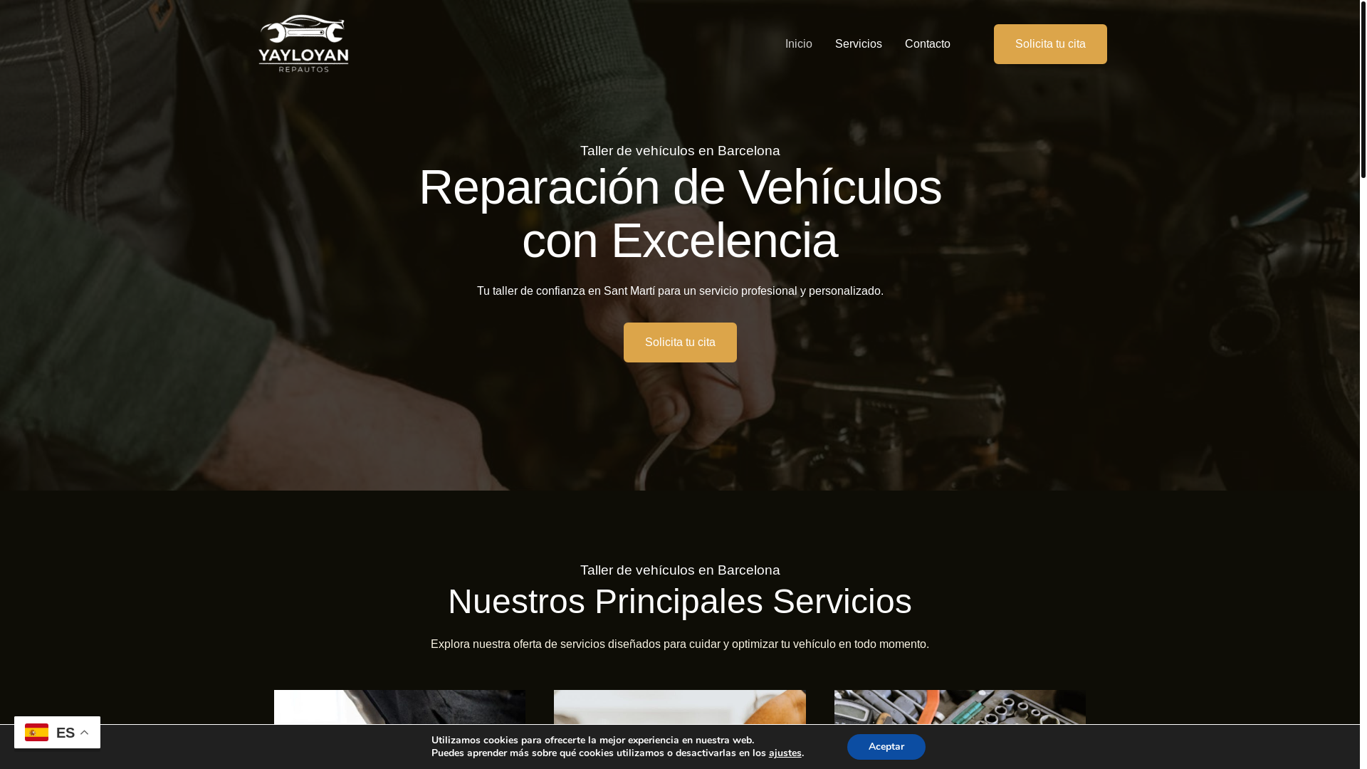 website screenshot of https://yayloyanrepautos.es/