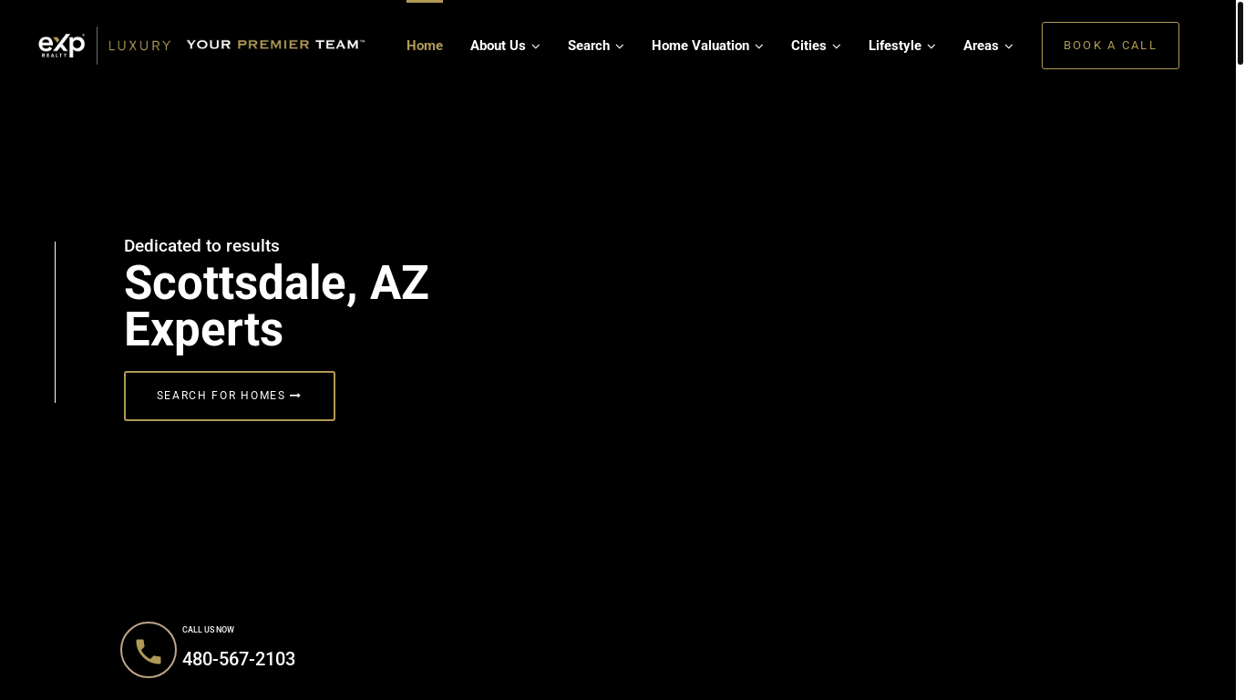 website screenshot of https://yourpremierteam.net/