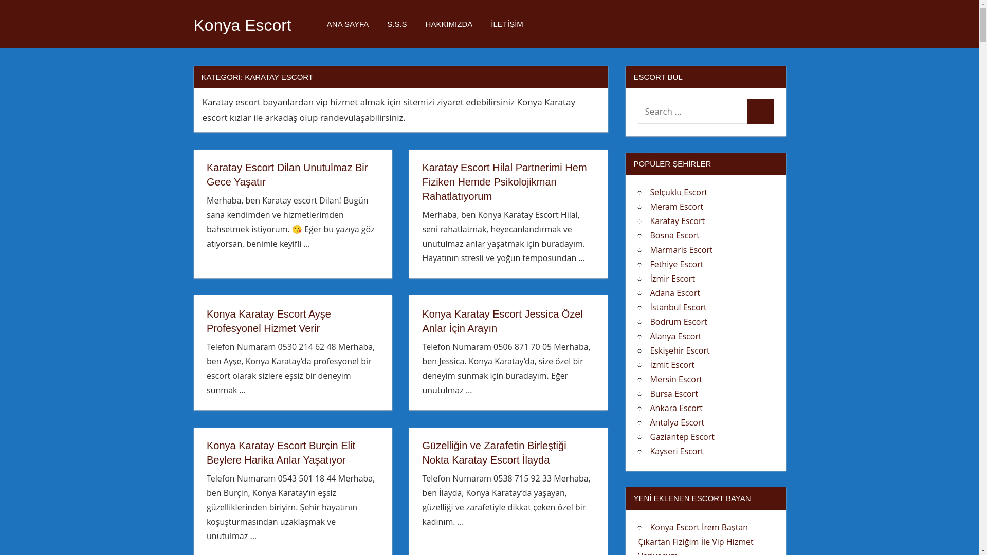 website screenshot of https://istanbulescort304.xyz/