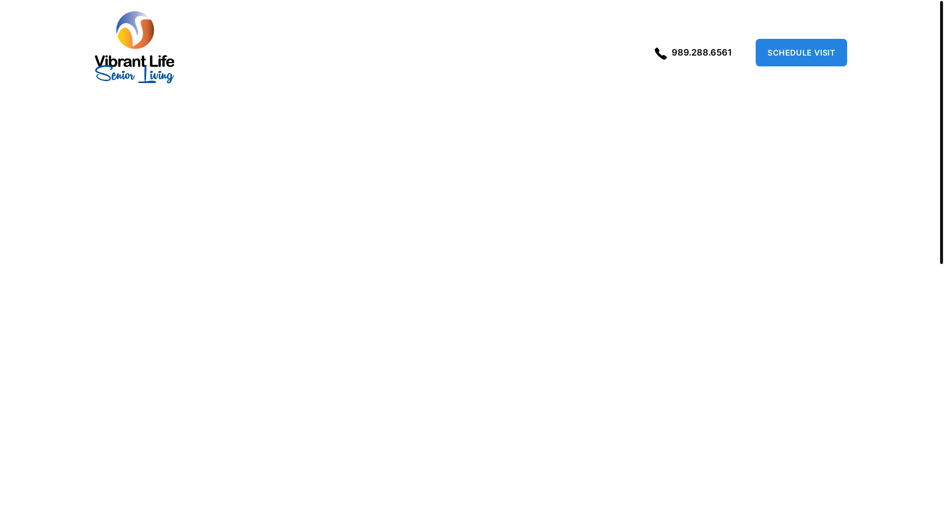 website screenshot of https://vibrant-life-landing-pages.pages.dev/
