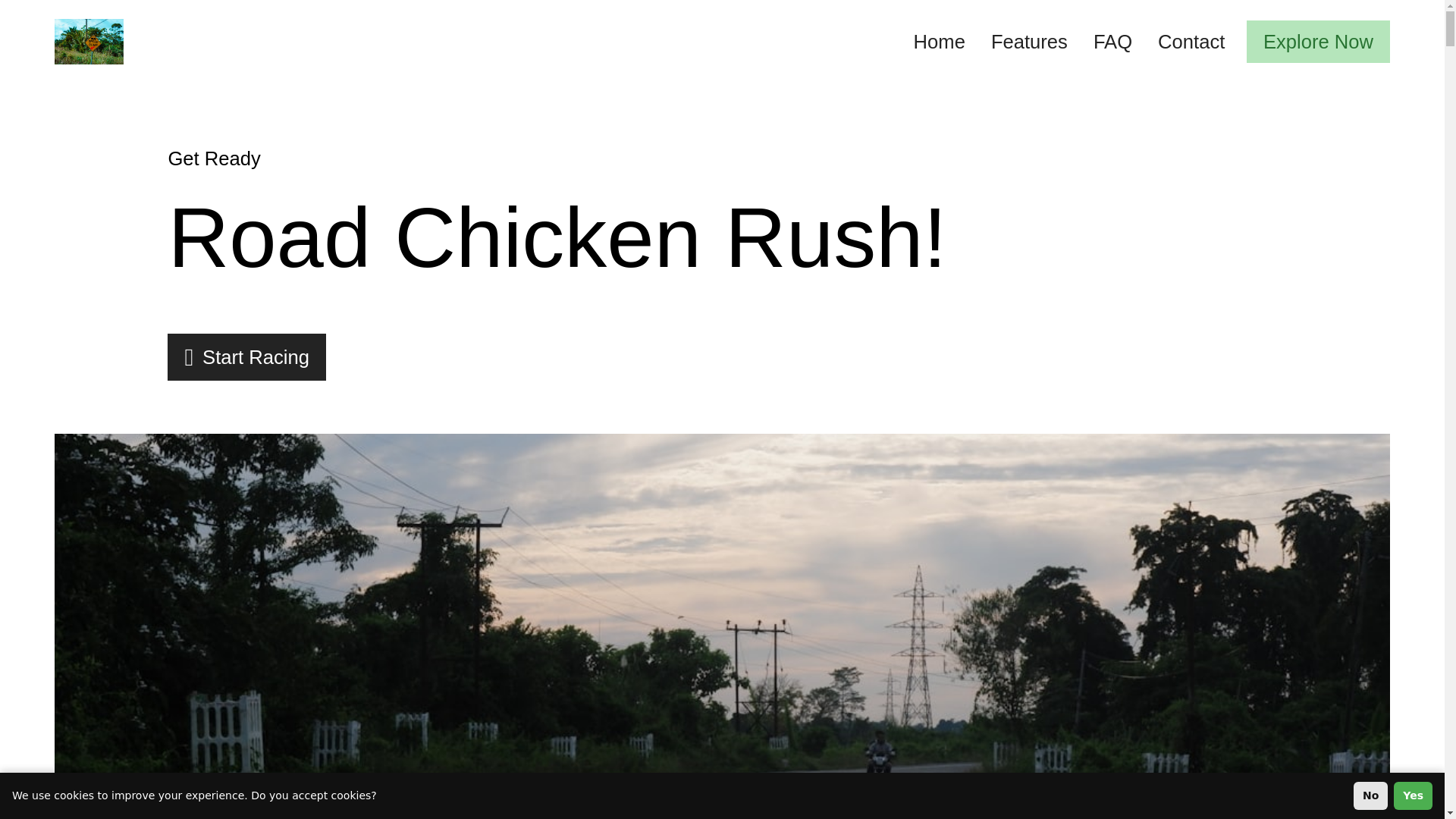 website screenshot of https://chickenroadtedg.pro/