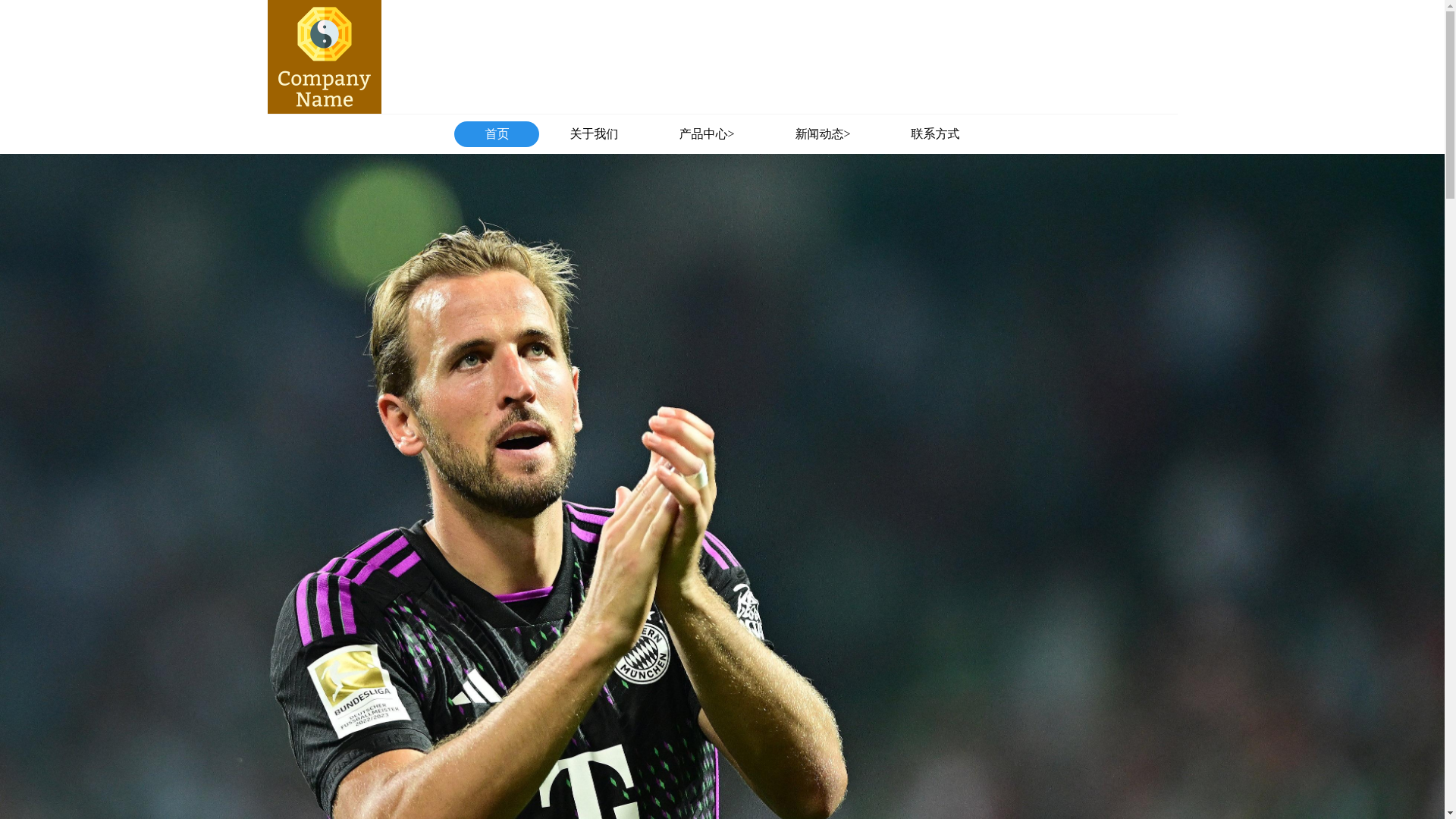 website screenshot of https://china-hpsports.com/