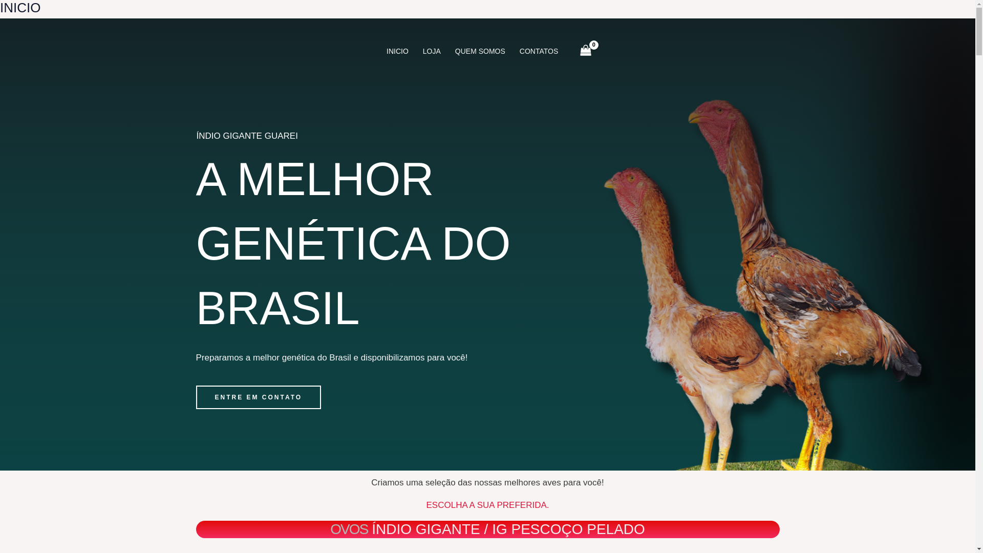 website screenshot of https://galinhagigante.com.br/