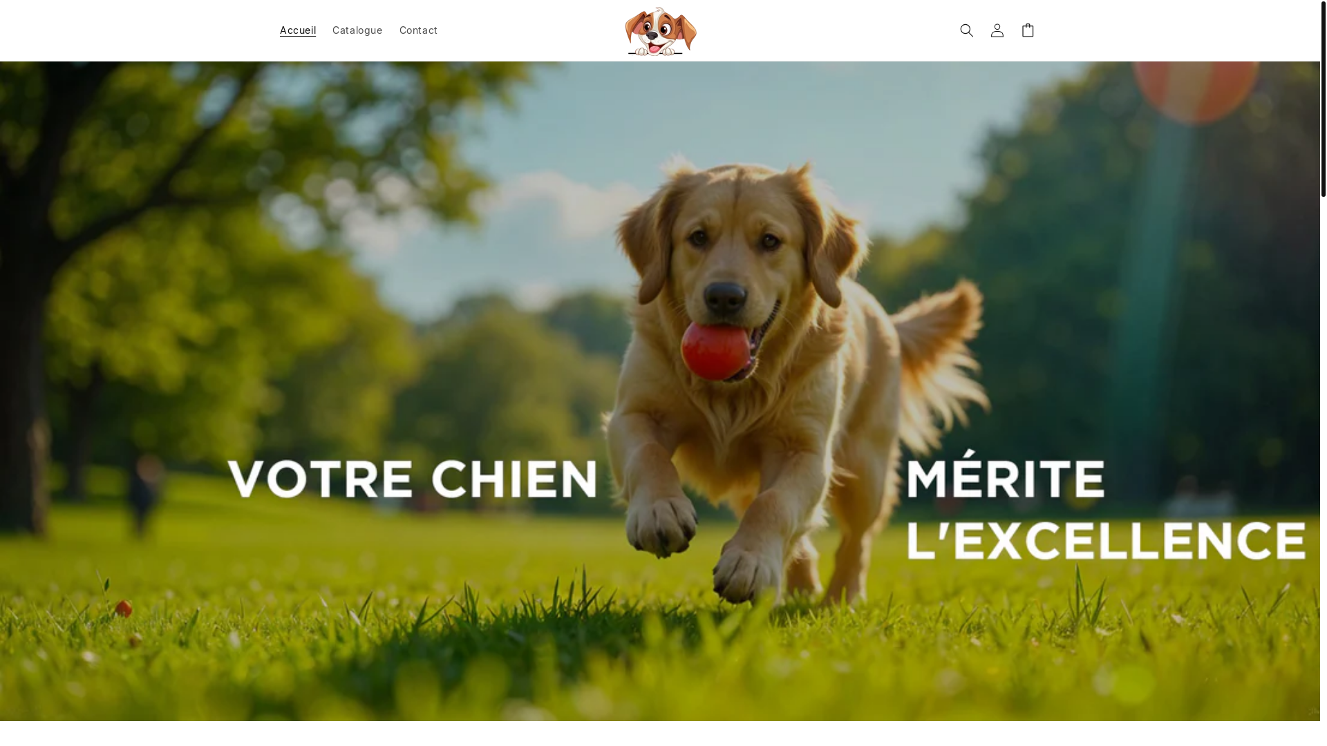 website screenshot of https://cani-luxe.com/