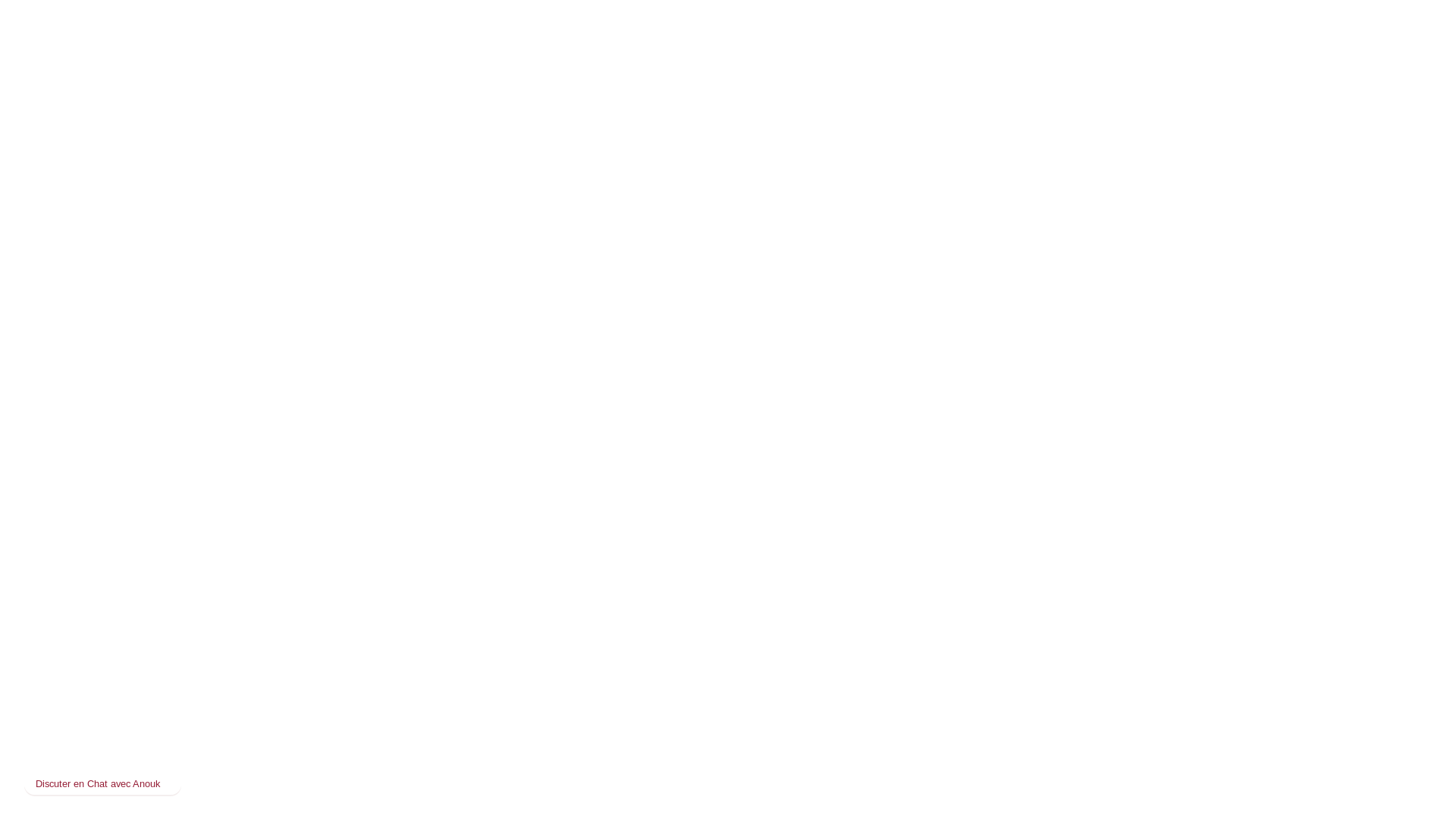 website screenshot of https://voxperience-chat-nomade.pages.dev/