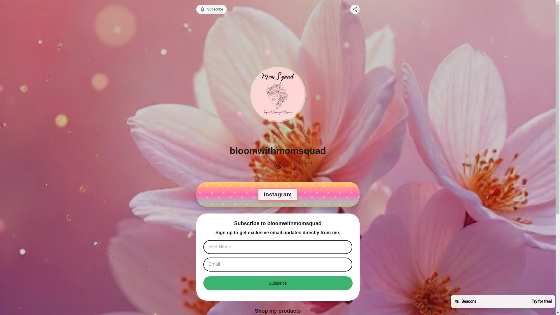 website screenshot of https://bloomwithmomsquad.com/