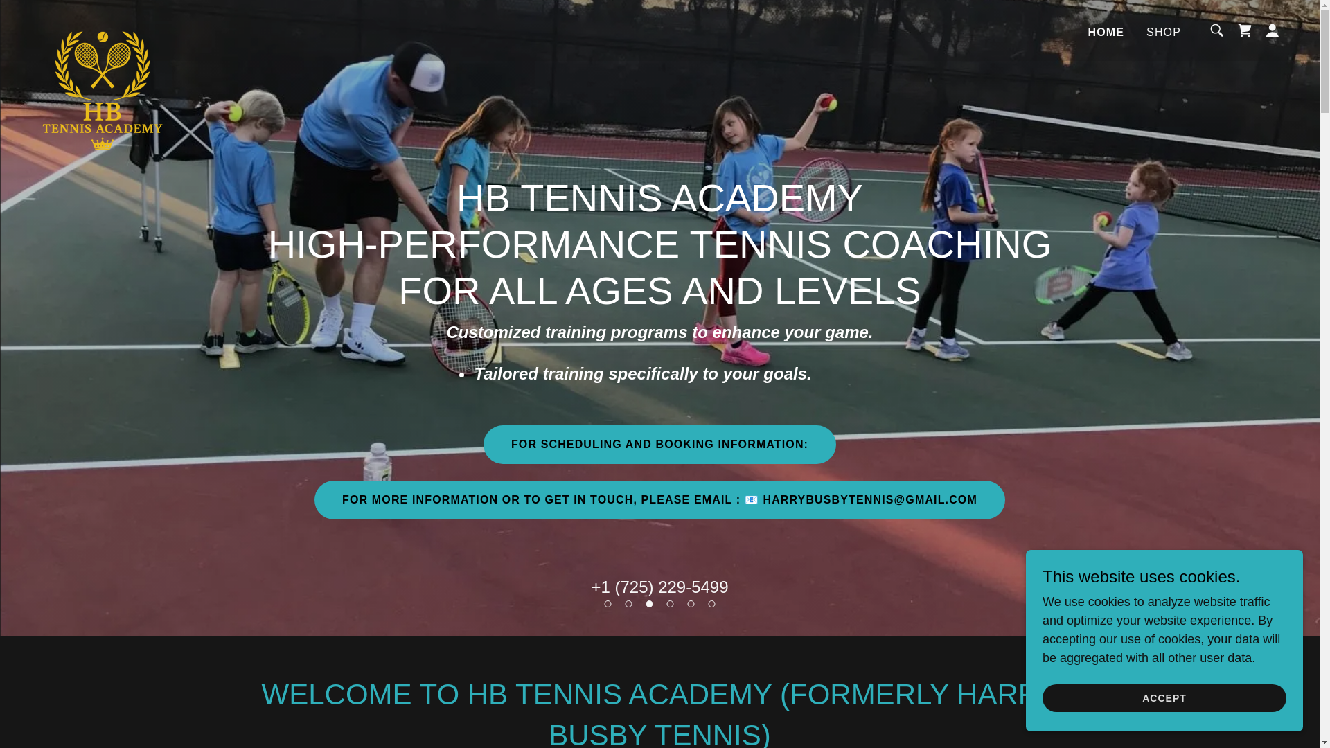 website screenshot of https://hbtennisacademy.com/