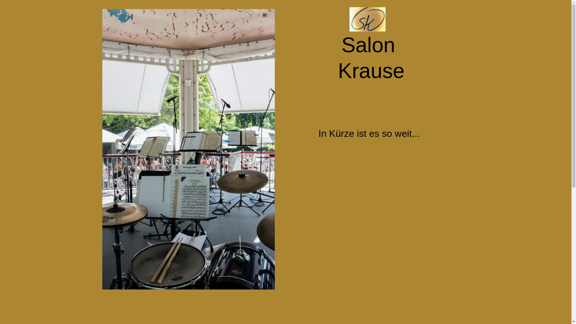 website screenshot of https://salonkrause.de/