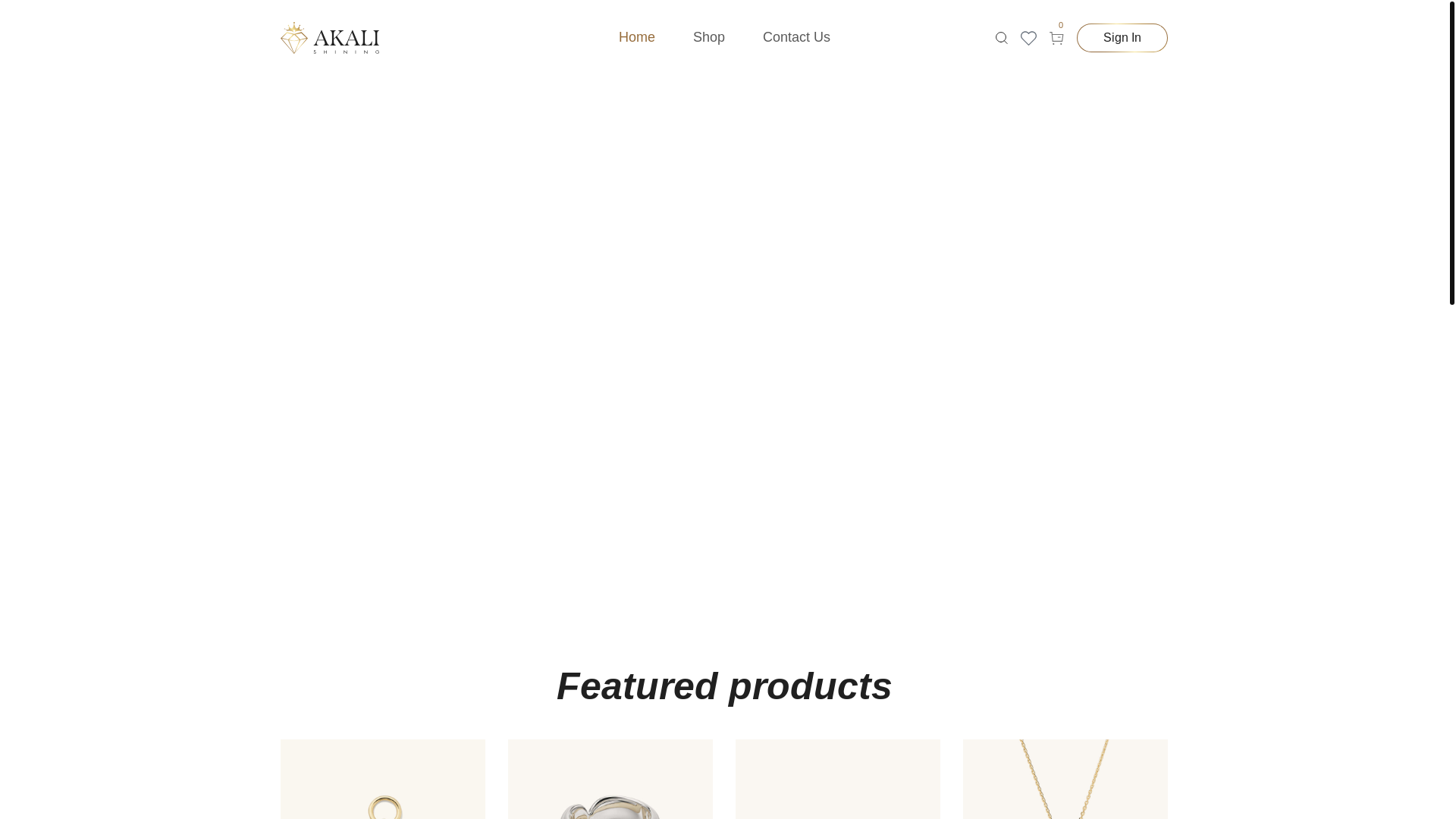 website screenshot of https://belarini.com/