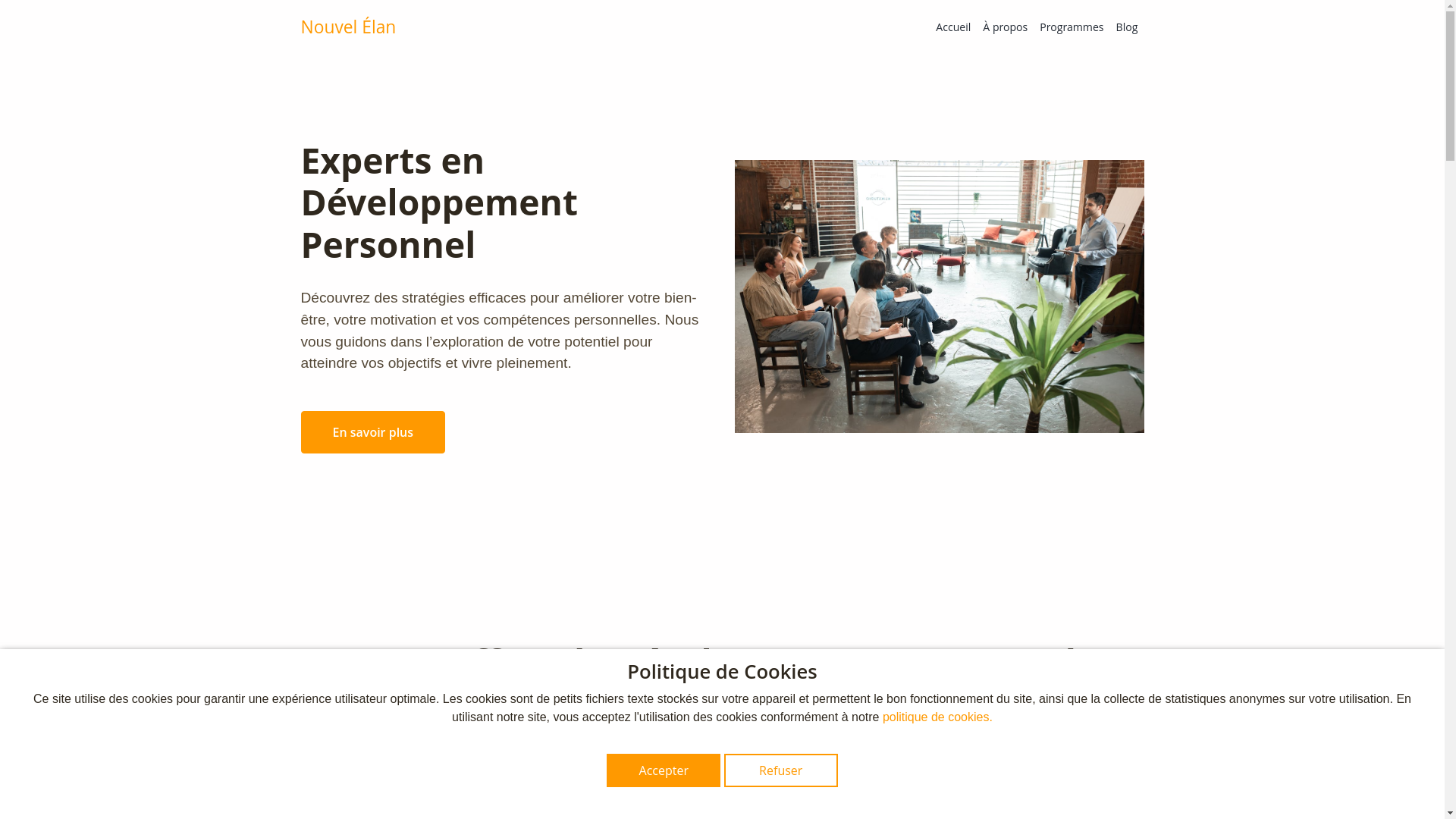 website screenshot of https://nouvellan.ink/