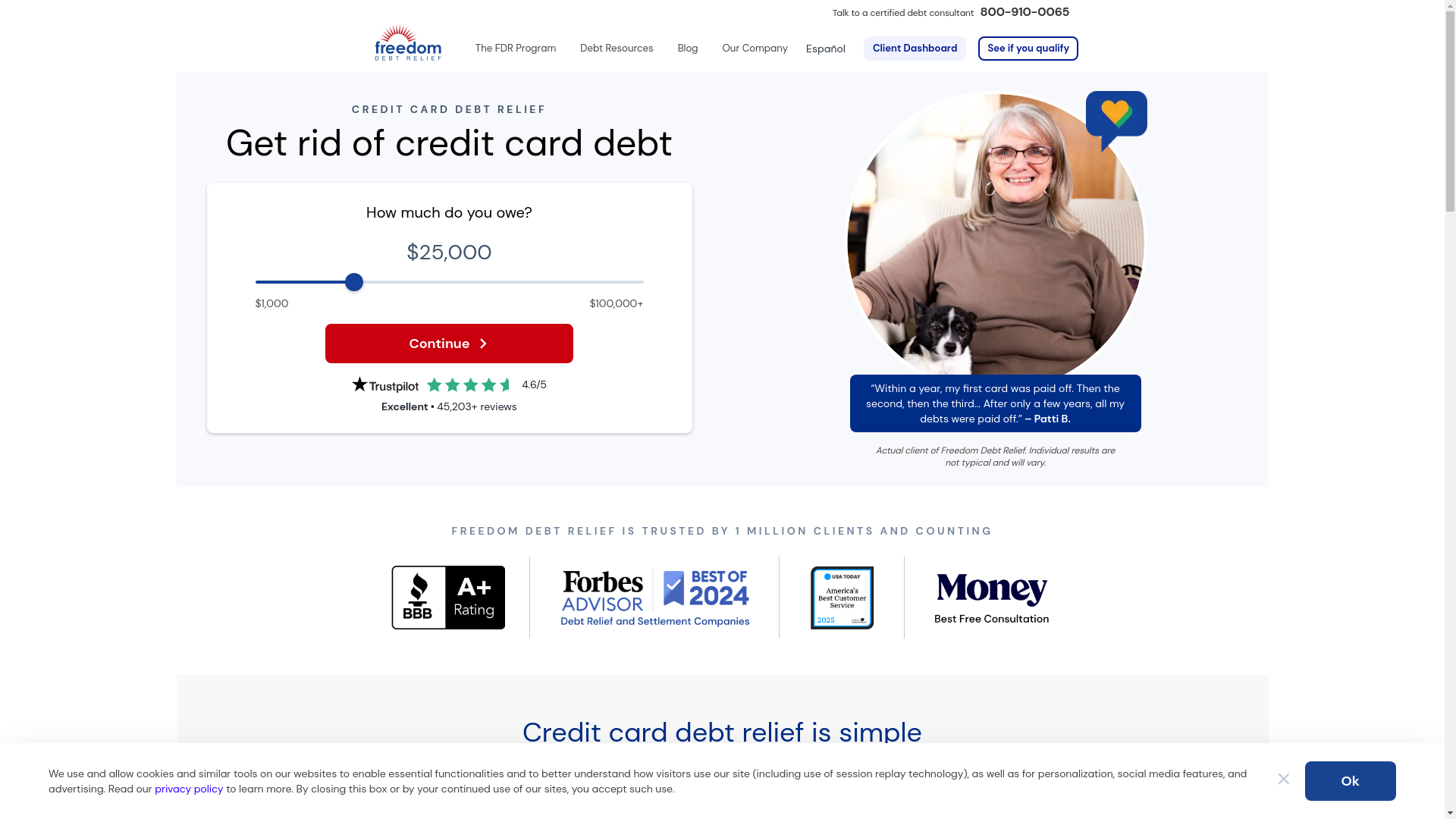 website screenshot of https://freedomdebtrelief.pro/